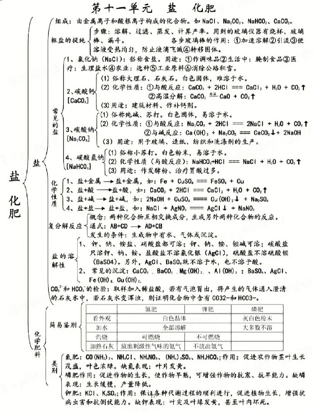 盐与化肥的思维导图图片