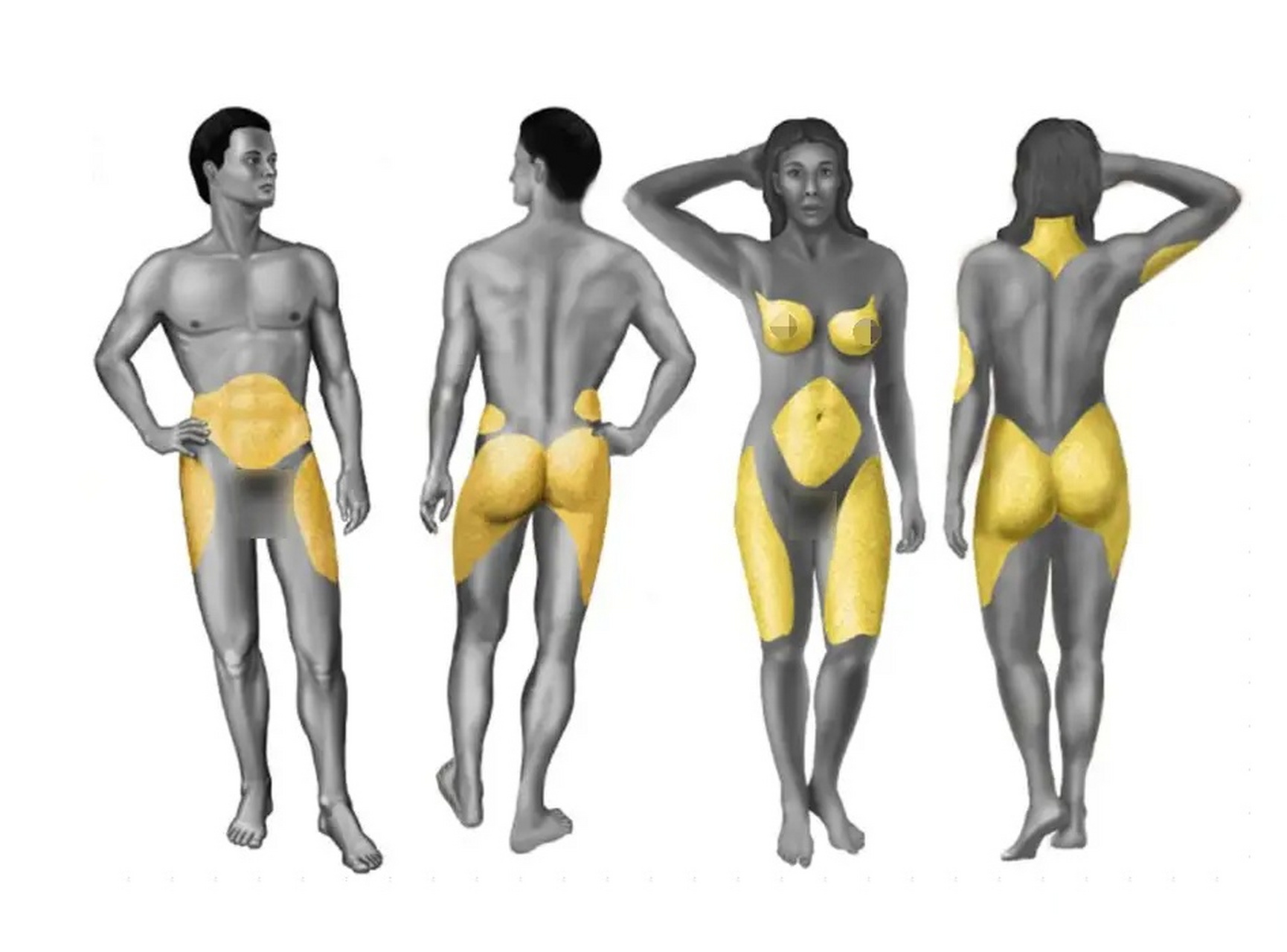 男性与女性容易堆积脂肪的部位,还是有所不同的.