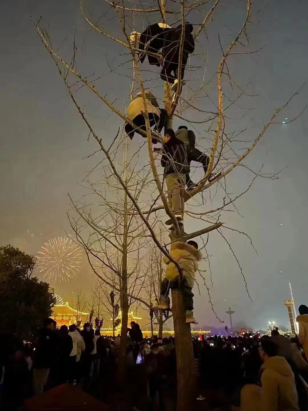 昨晚元宵节定鼎门焰火晚会定鼎门广场上人太多了好多人下午三四点