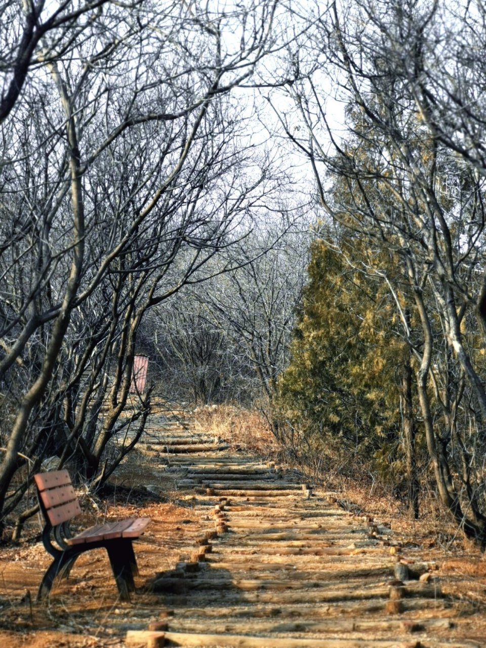 早春轻徒步|舞彩浅山5公里小环线 春天先从爬山开启.