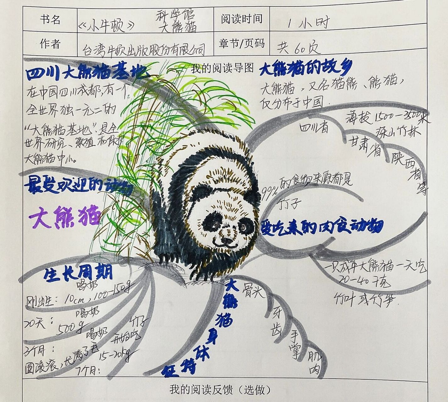 一年级思维导图 大熊猫