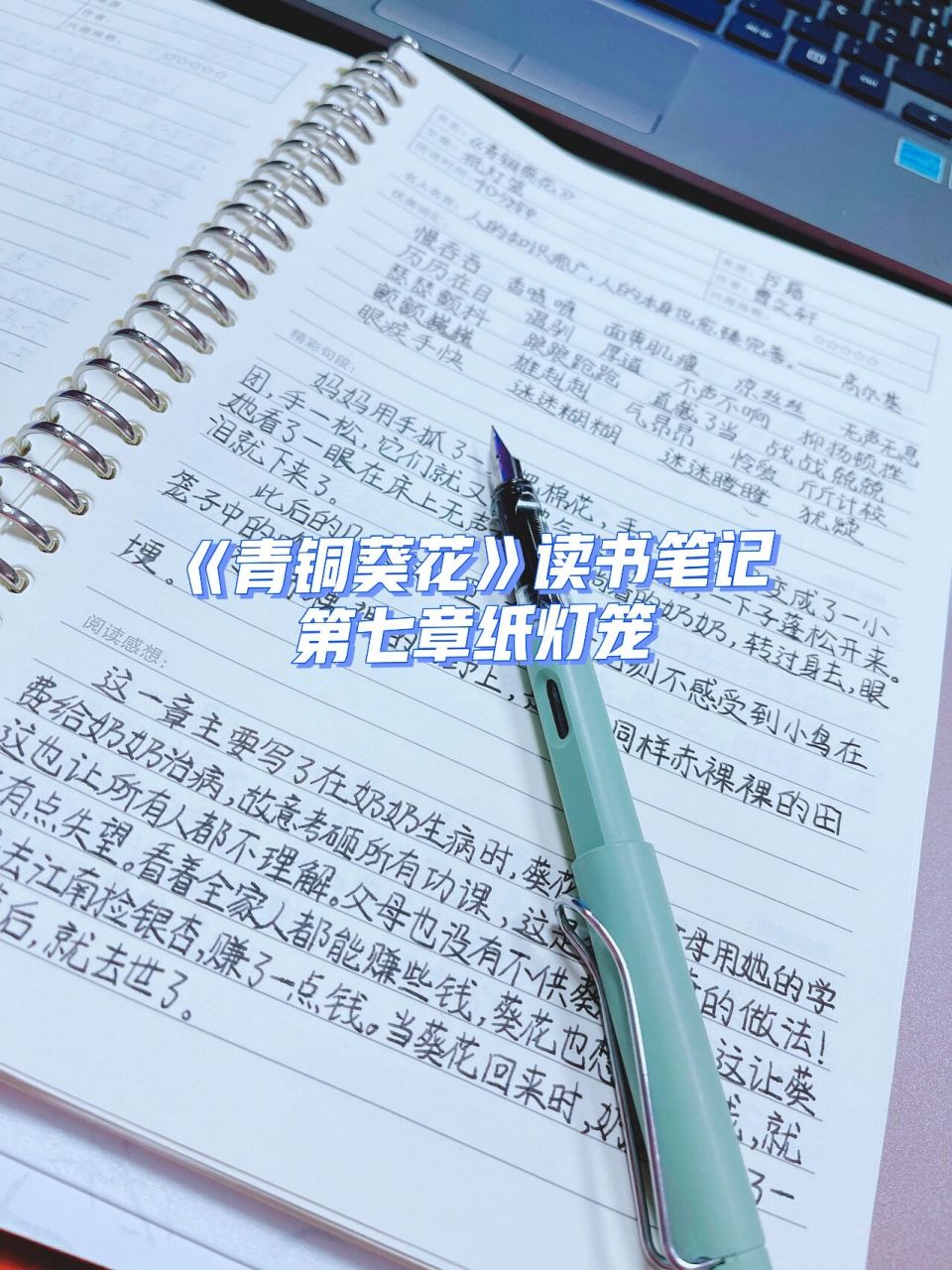 《青铜葵花》读书笔记第八章纸灯笼 今日份读书笔记来啦!