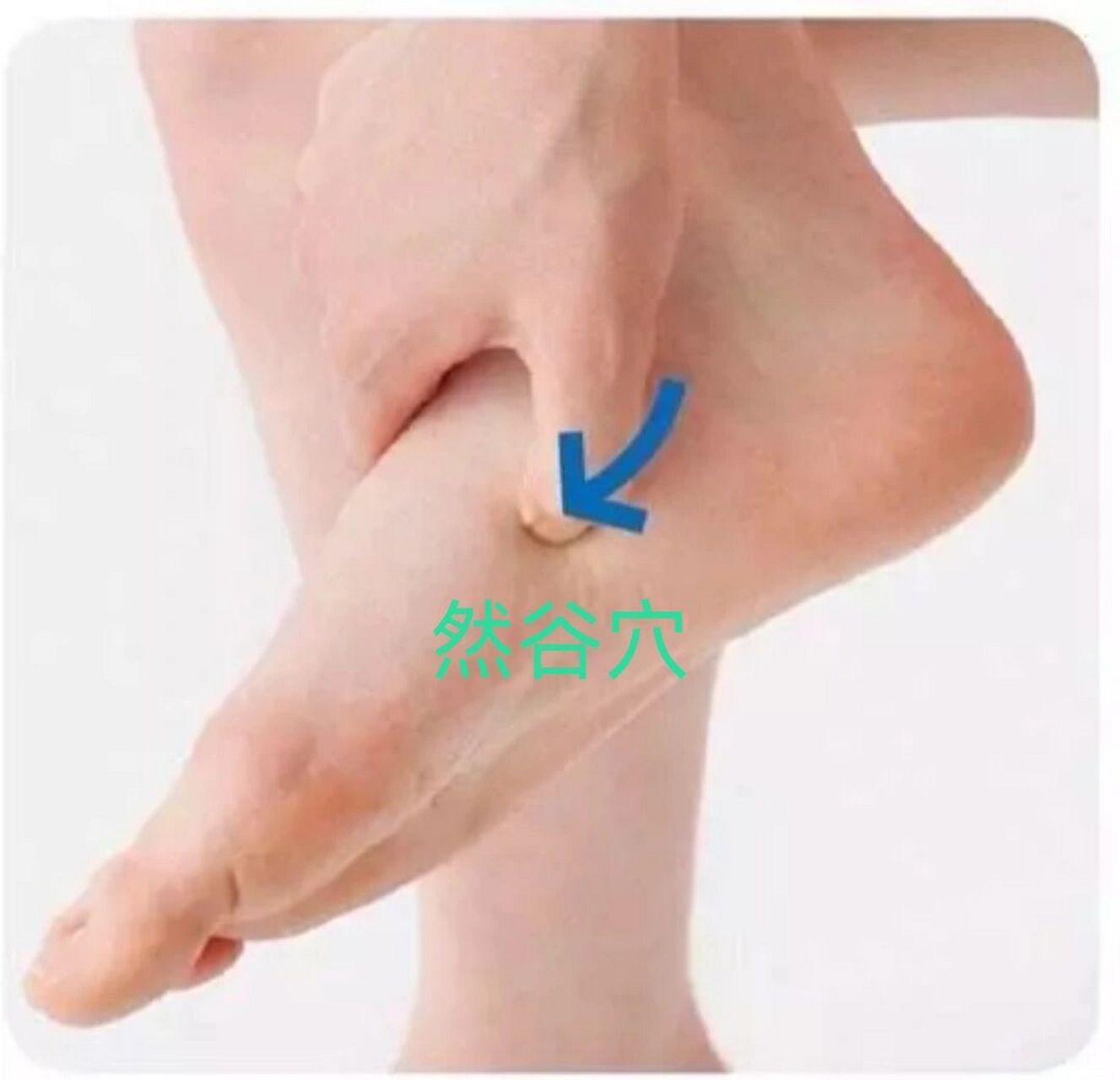 【精准定位】 然谷穴在我们脚的内侧,可以用手先摸一下脚的内踝骨