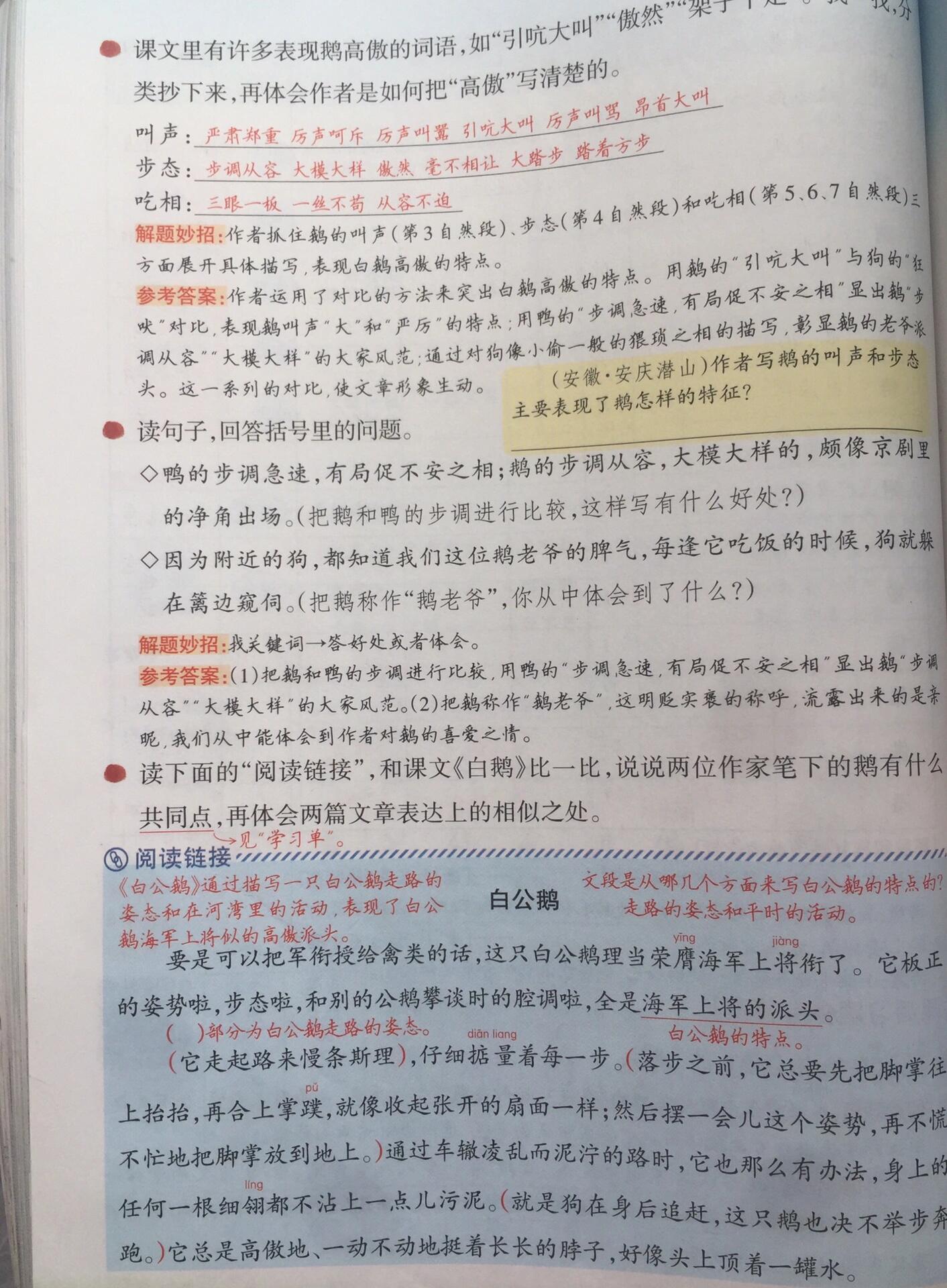 四下《15白鹅》课堂笔记