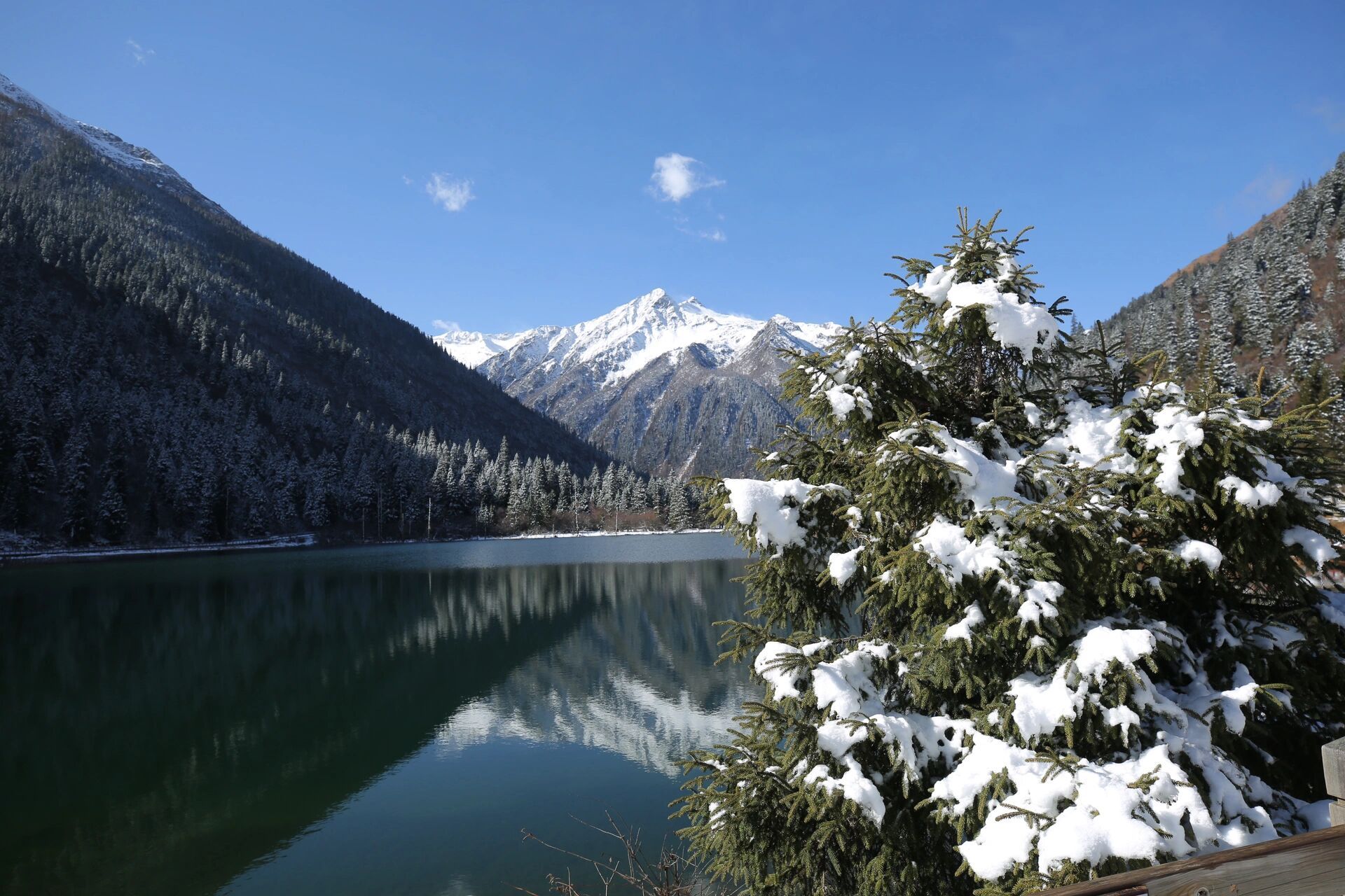 达古冰川-世界上最年轻的冰川 7615位于四川阿坝藏族羌族自治州
