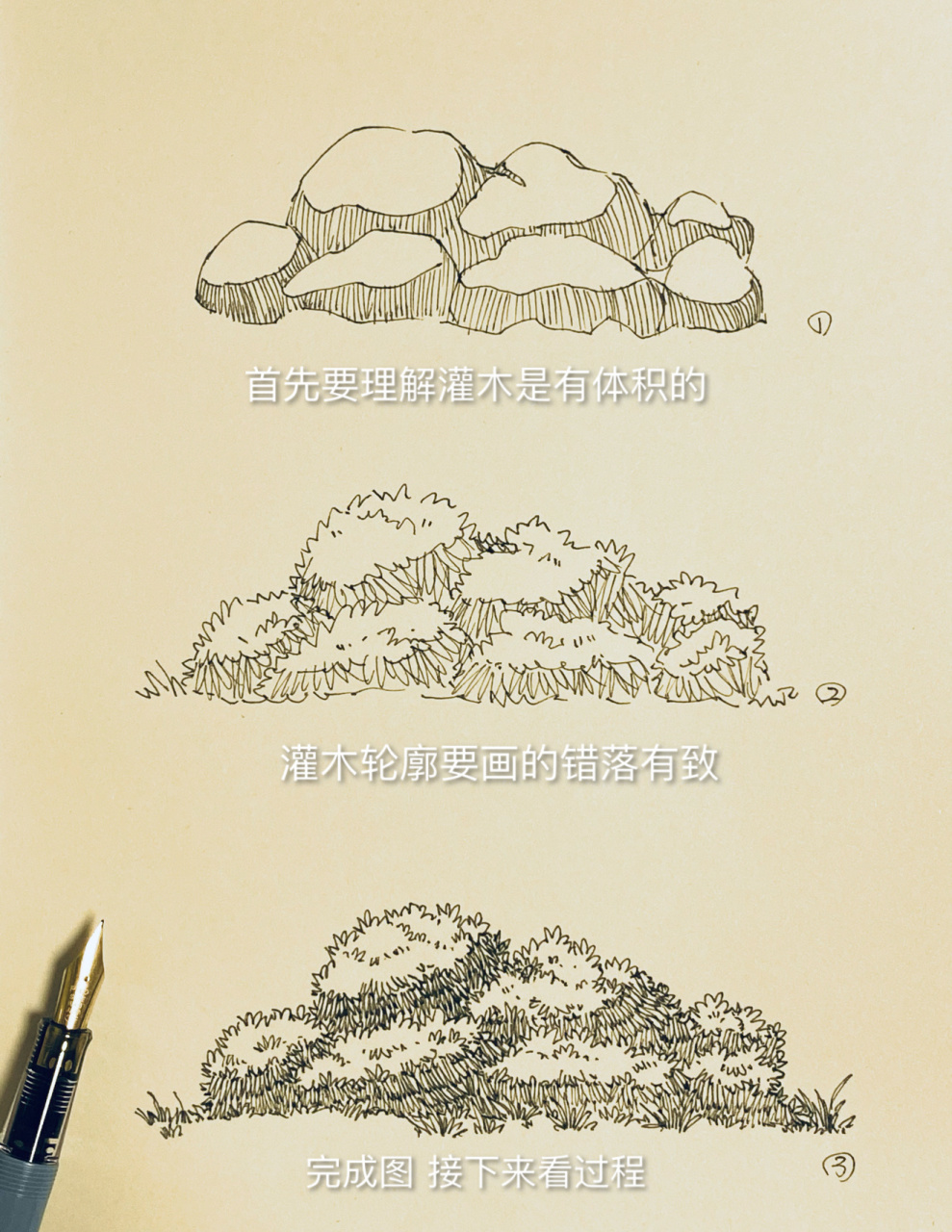 10分钟学会画灌木丛 这次的教程比上一篇要更详细一些,如何?