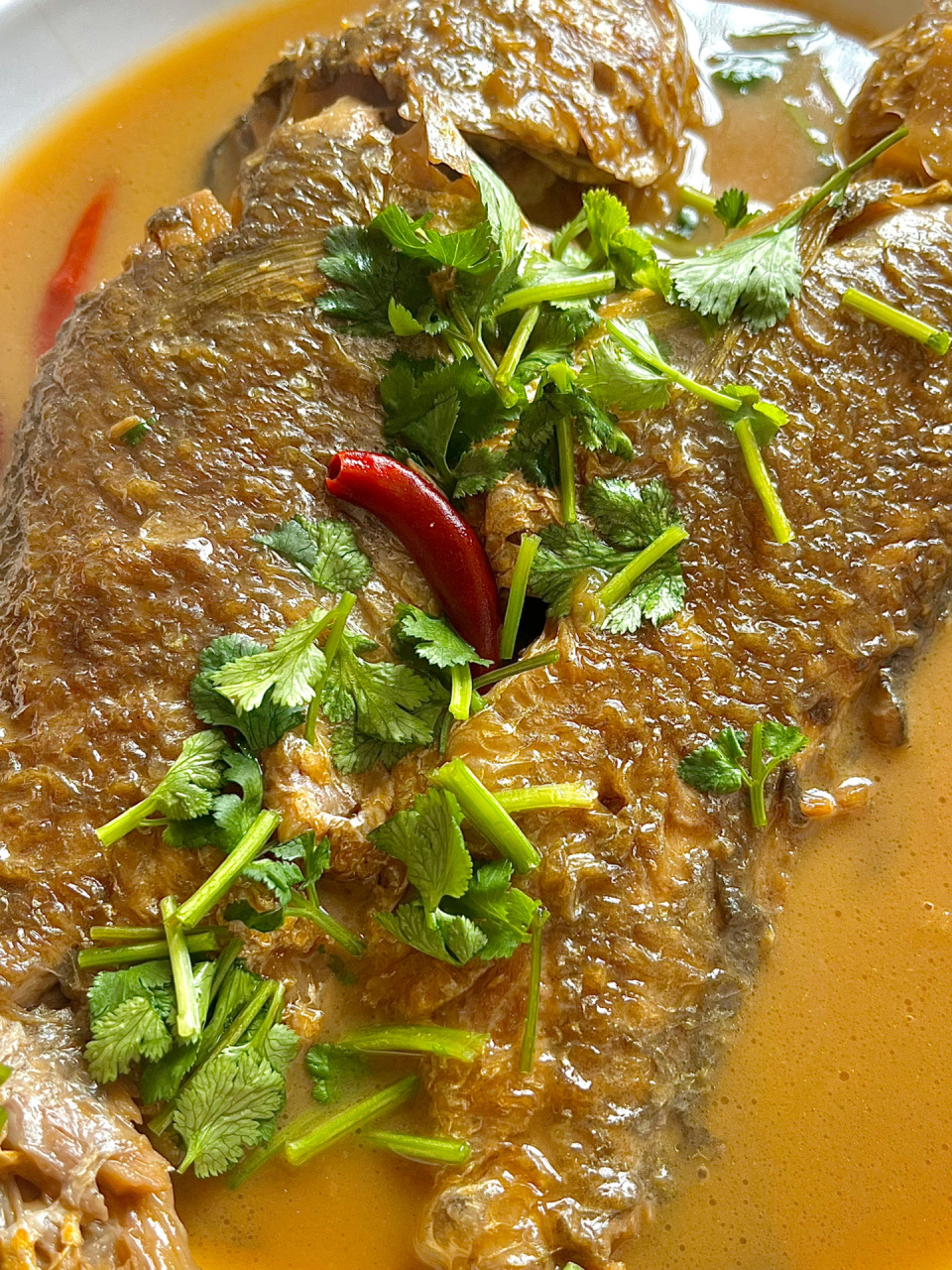 家常炖黄花鱼好吃到尖叫 喜欢吃鱼的姐妹不要错过 做法简单 汤鲜味美