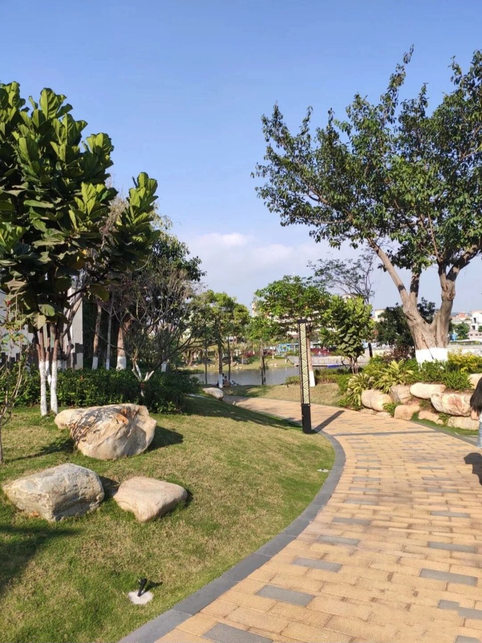 长沙周末游玩好去处|株洲万丰湖湿地公园 趁着天气晴朗9696,微风