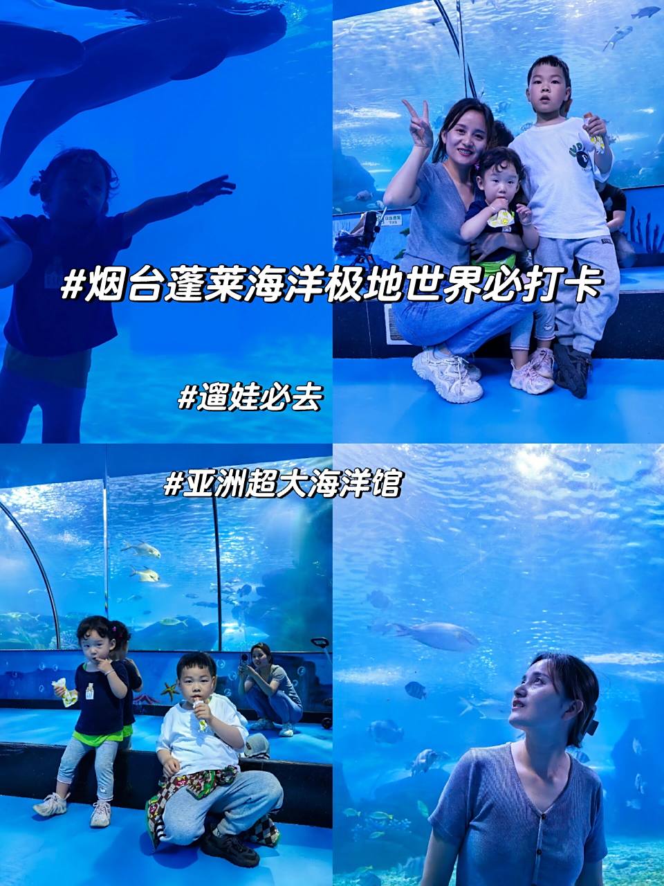 蓬莱极地海洋世界(蓬莱极地海洋世界是最大的吗)