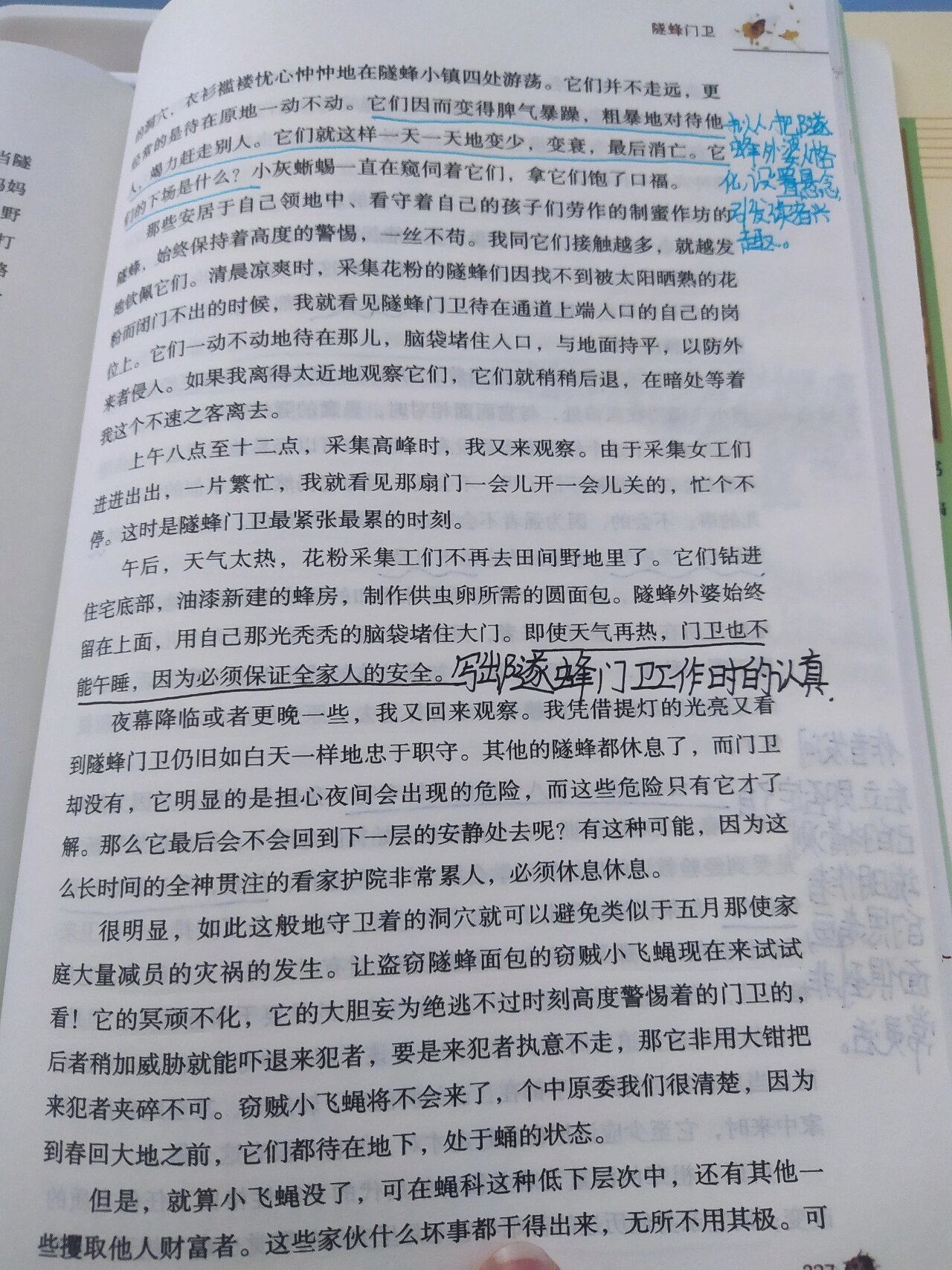 昆虫记隧蜂读书笔记图片