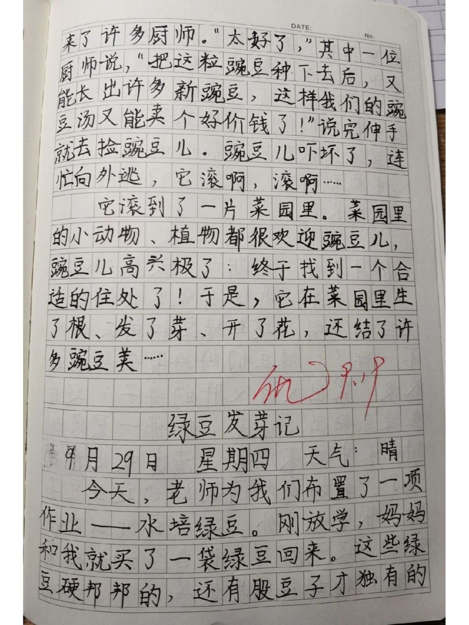 搜一篇观察日记作文四百字(搜一篇观察日记作文四百字怎么写)