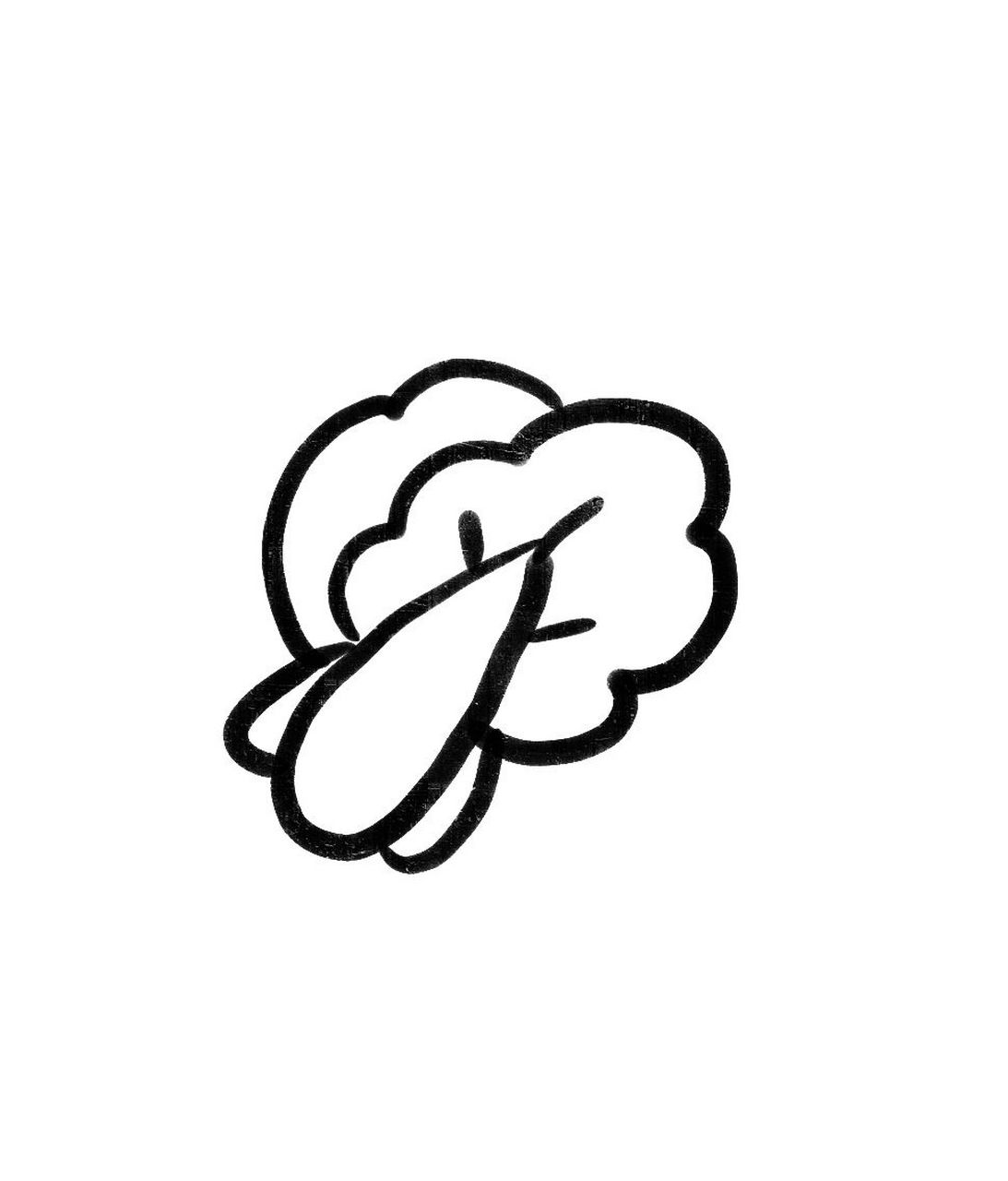 青菜简笔画 青菜简笔画