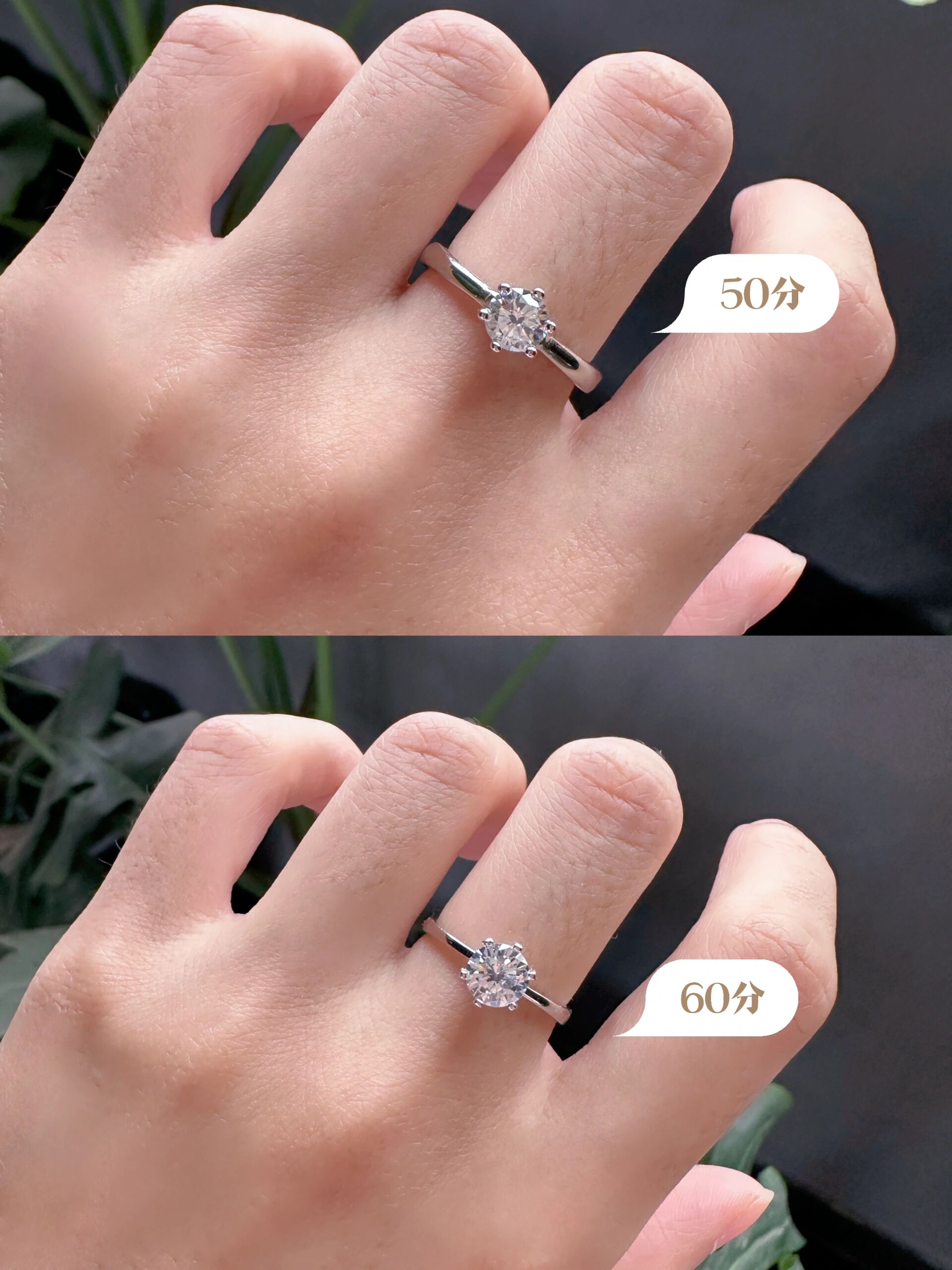 50分,60分钻戒大小对比!