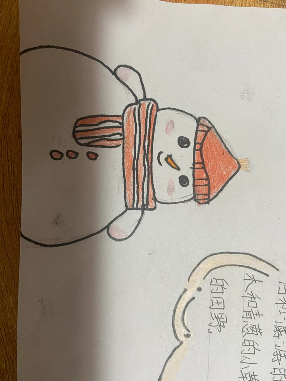 走进南极手抄报