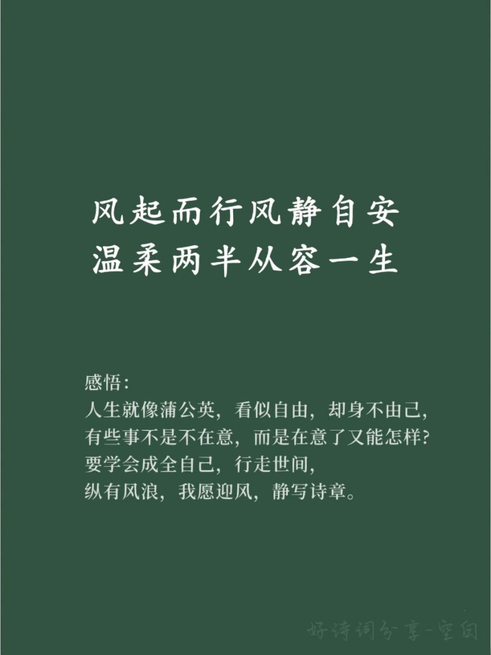 93 感悟: 人生就像蒲公英,看似自由,却身不由己, 有些事不是不在意