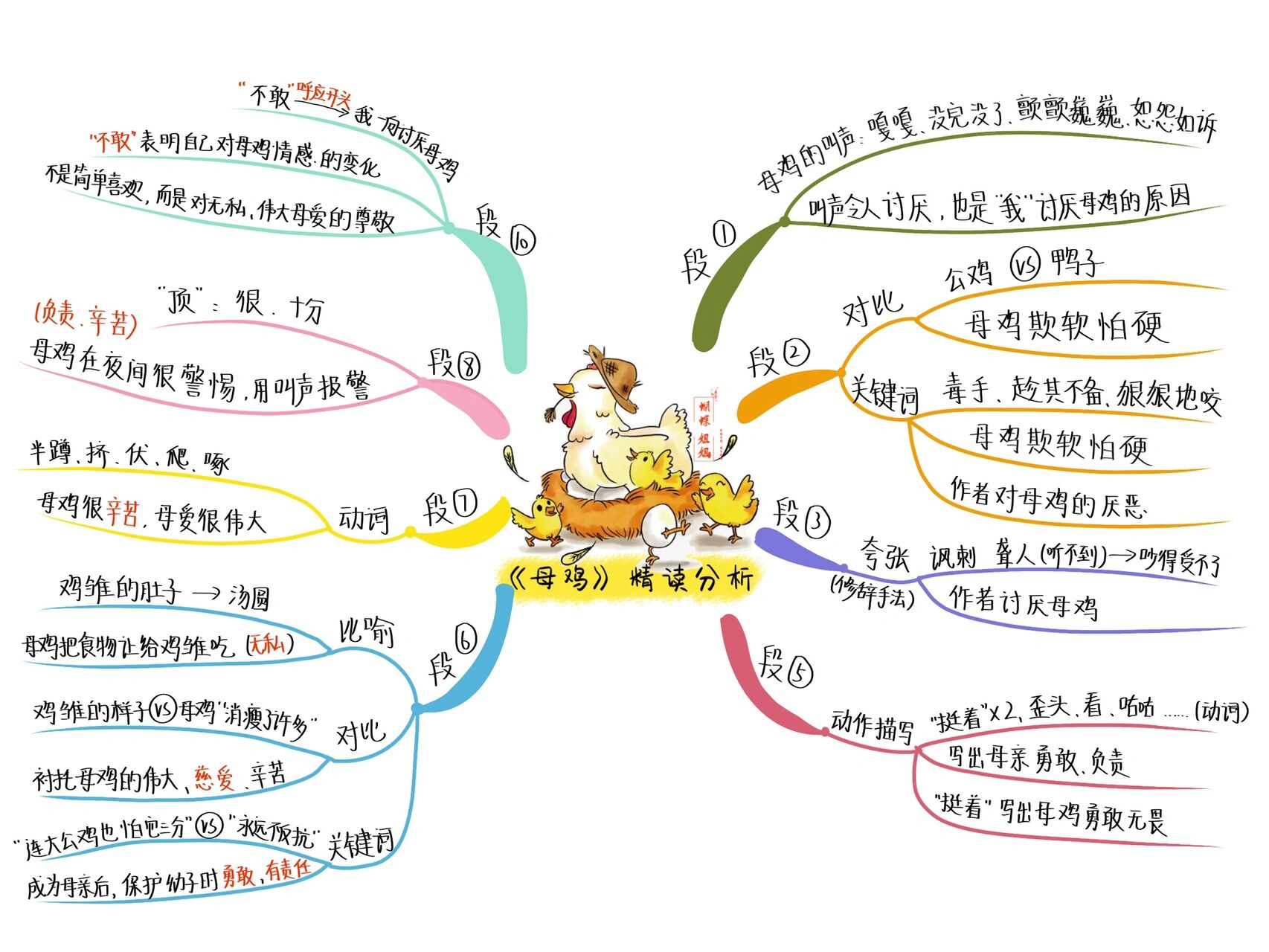 母鸡板书设计思维导图图片