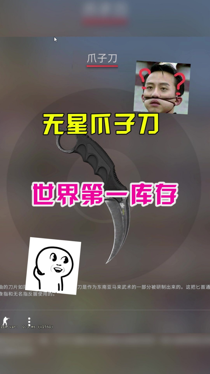 csgo第一库存,无星爪子刀