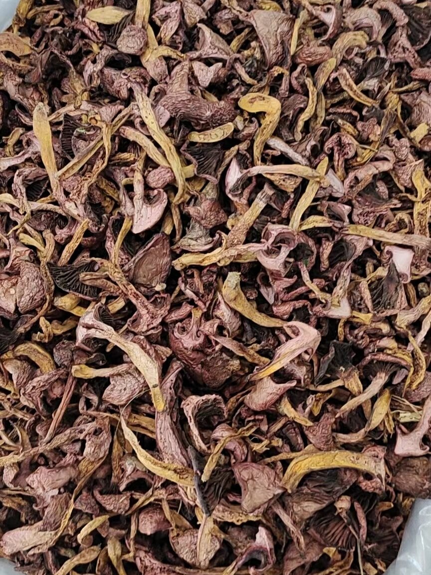 红蘑营养价值超高 血红铆钉菇(红蘑)中含有多元醇,可医治糖尿病;松蘑
