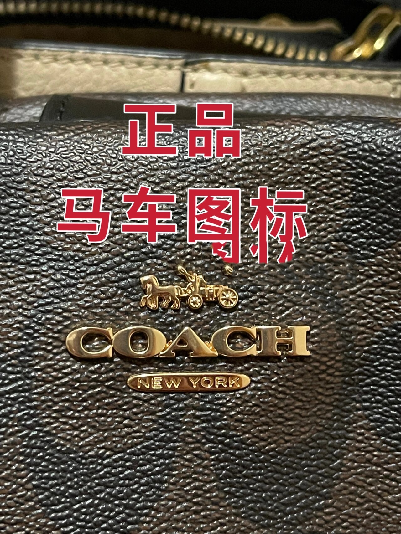 coach标志logo马车真假图片