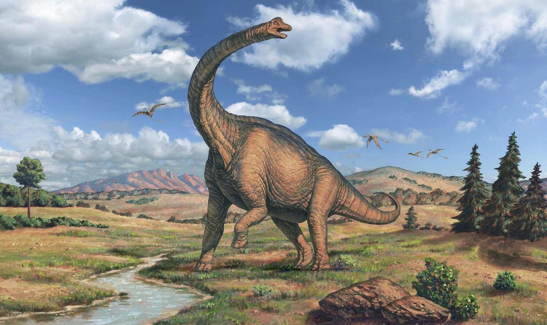 恐龙小百科〗腕龙 腕龙(属名:brachiosaurus)是蜥脚类恐龙的一个属