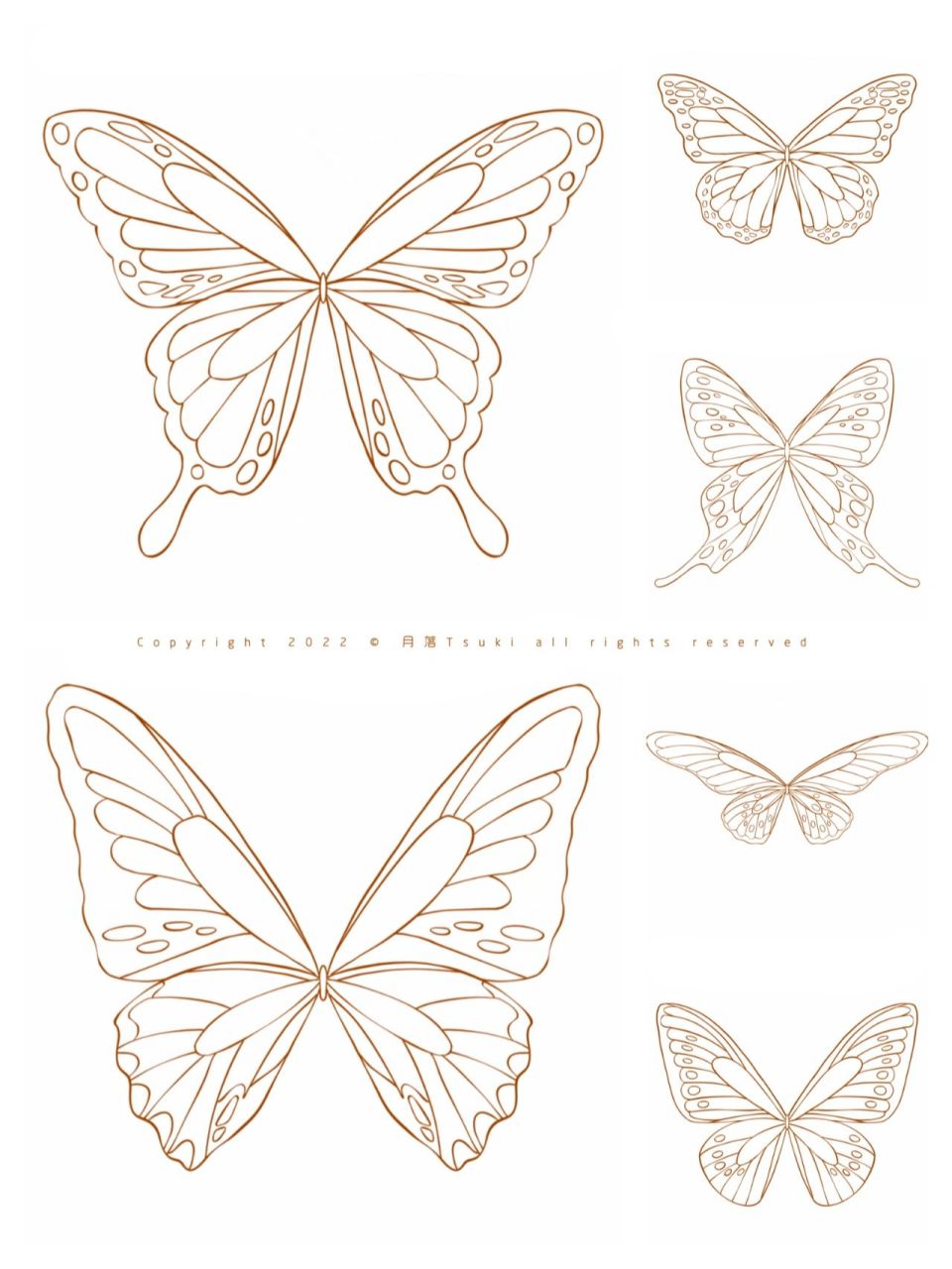 蝴蝶本蝶线稿来啦 ☆  画个蝴蝶线稿 67      |17119311)っ