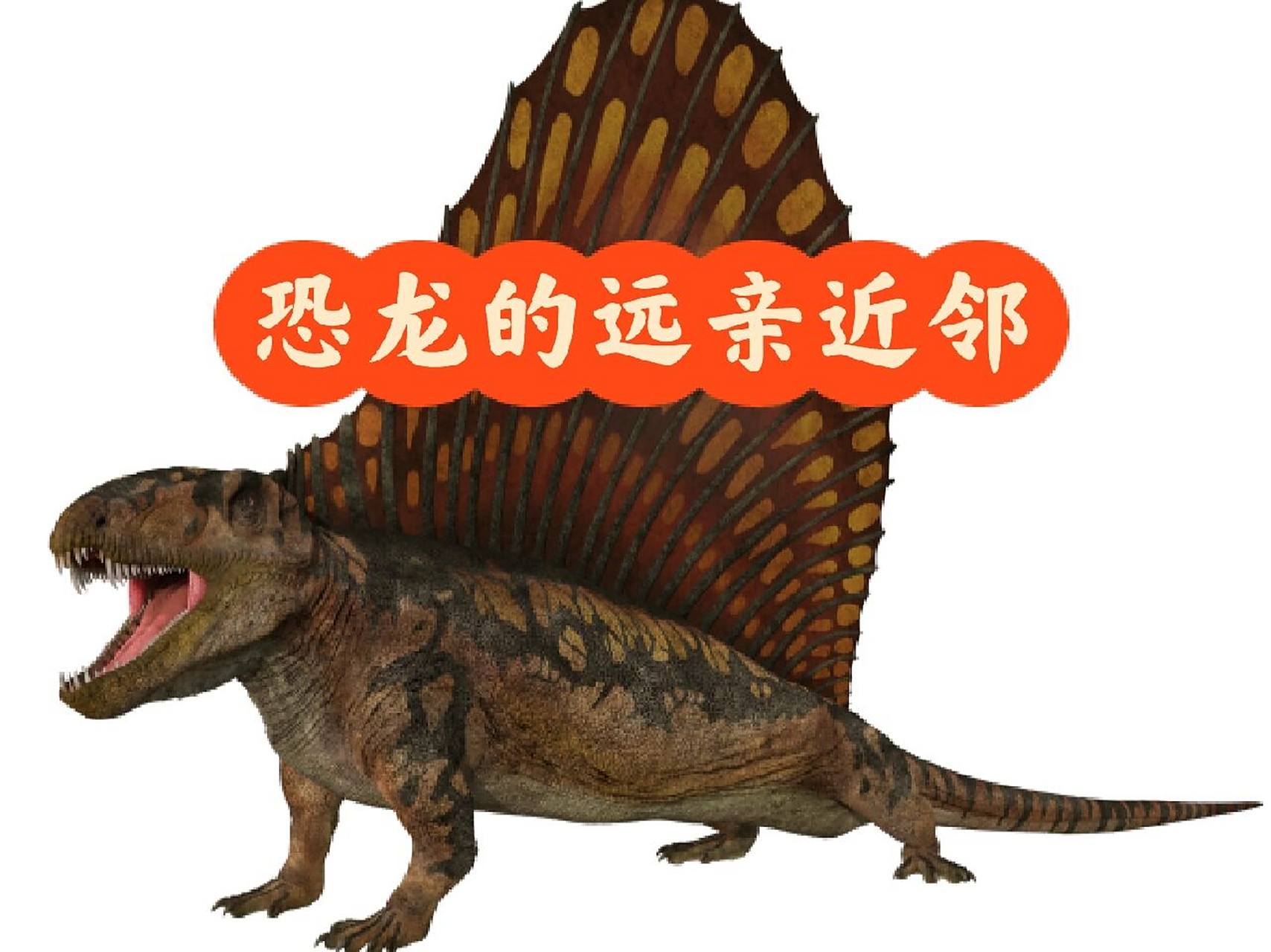 异齿龙——二叠纪移动的太阳能板 9292 97恐龙档案: 生活时期