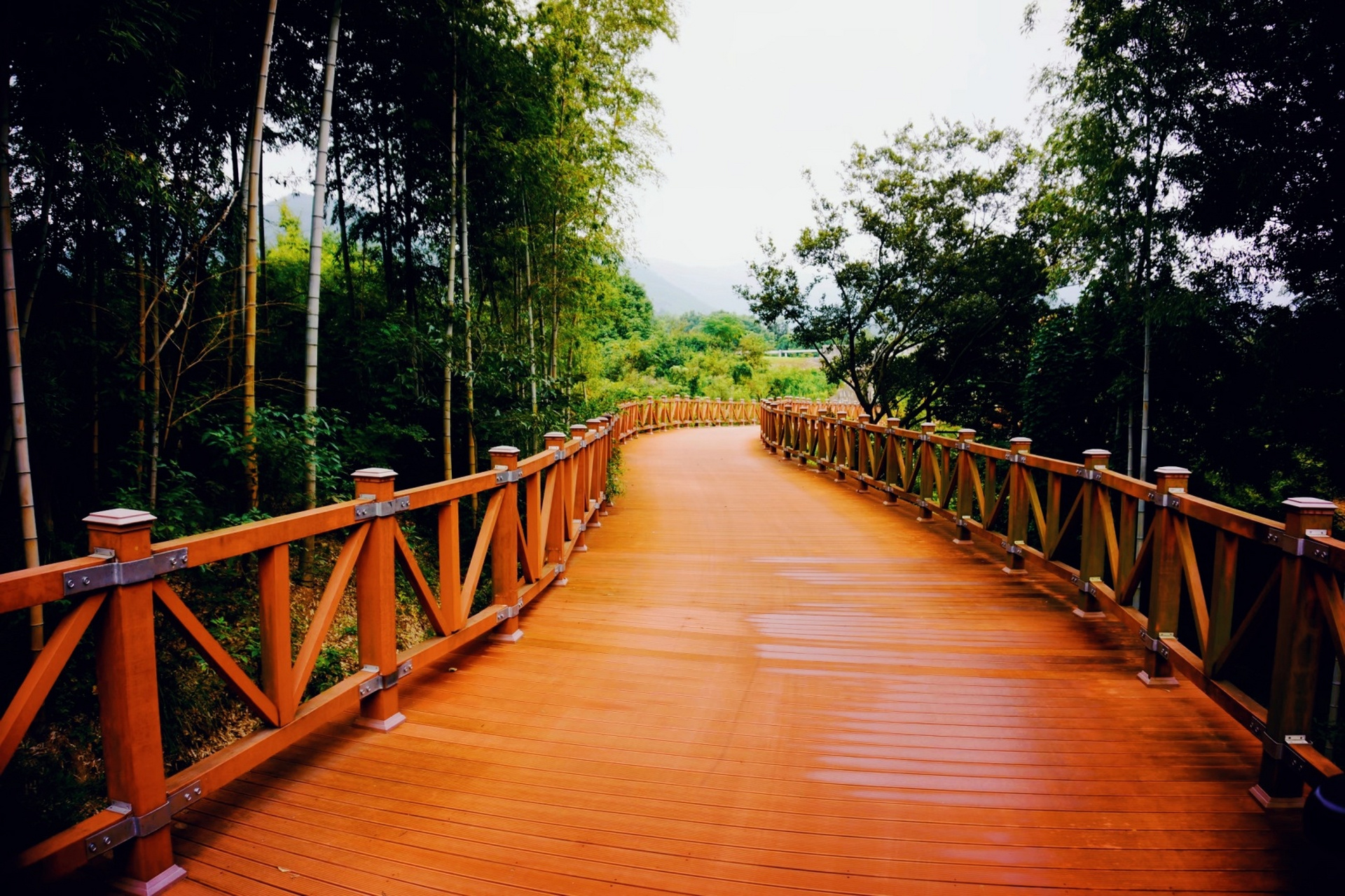 江苏宜兴龙池山自行车公园,骑行山道将山涧,茶园,竹林,水库相串联