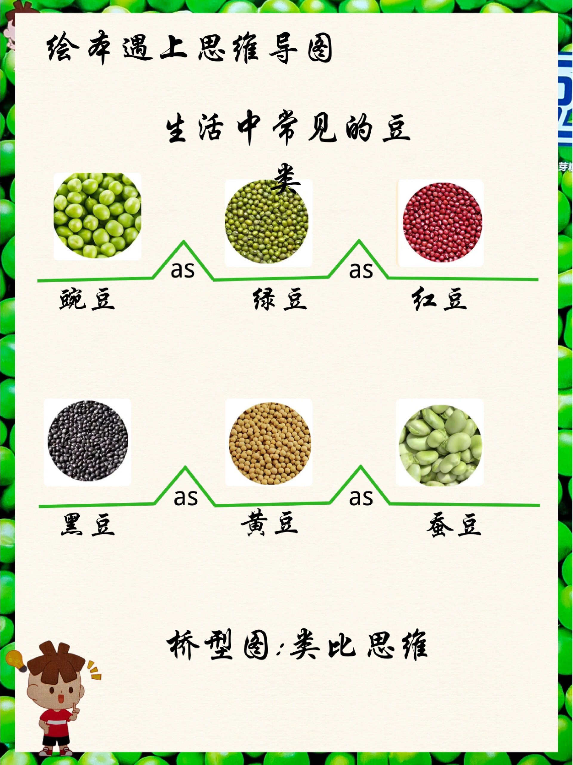 黑豌豆生长的思维导图图片