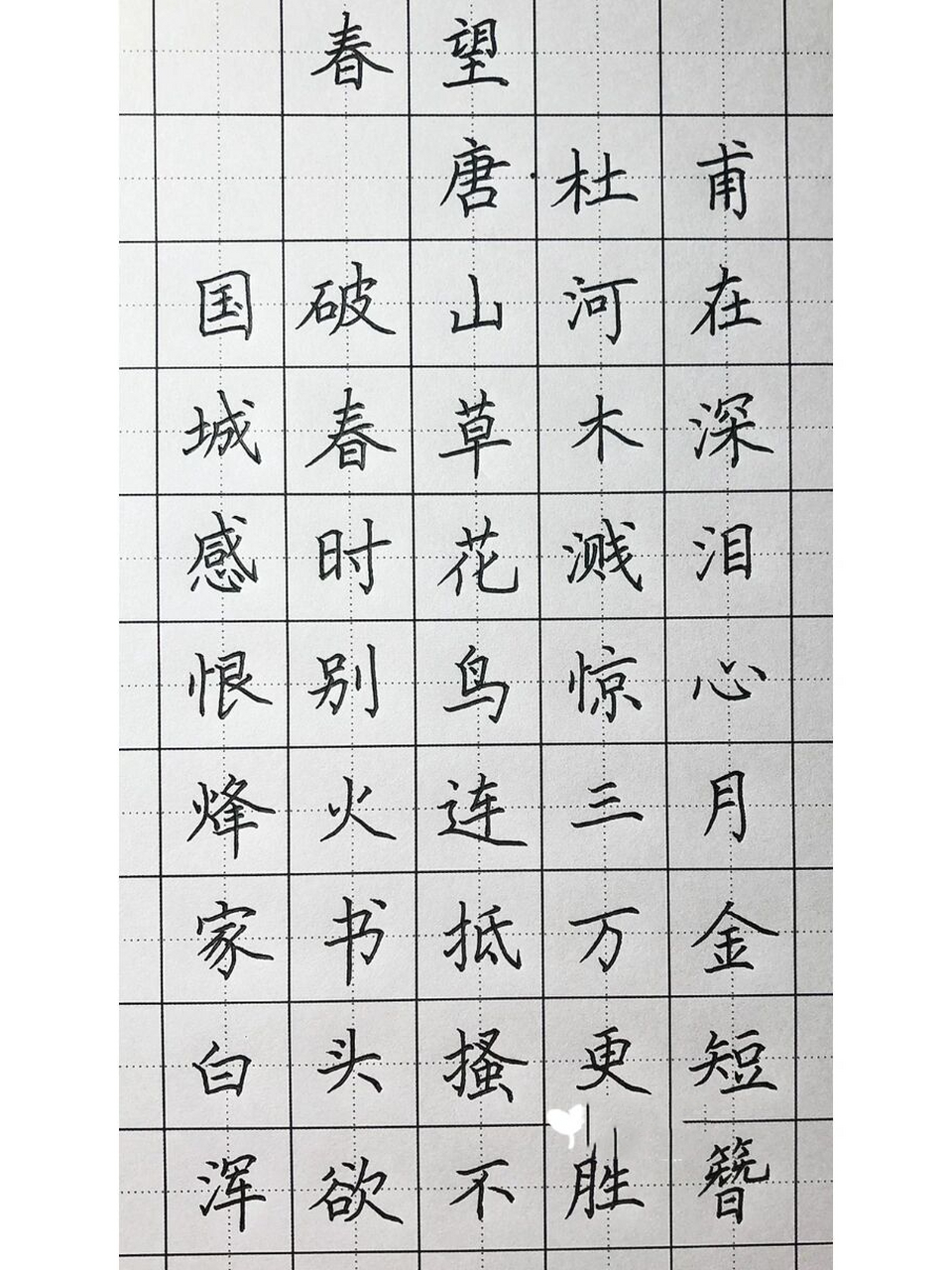 手写硬笔楷书《春望》 国破97河在,城春草96深.