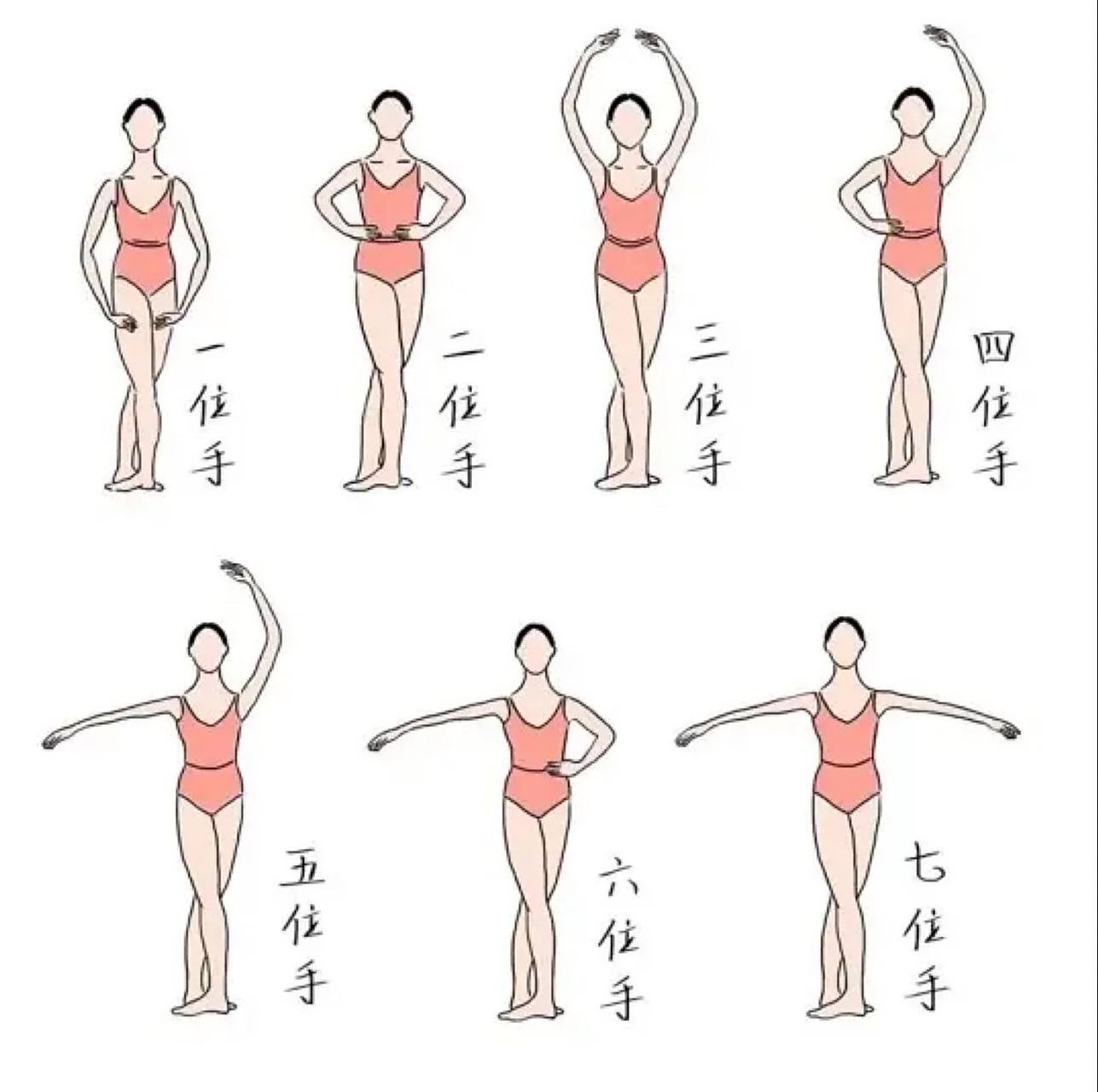 芭蕾的基本手位,1-7手位图解 在芭蕾学习中,手位脚位是最开始学习的