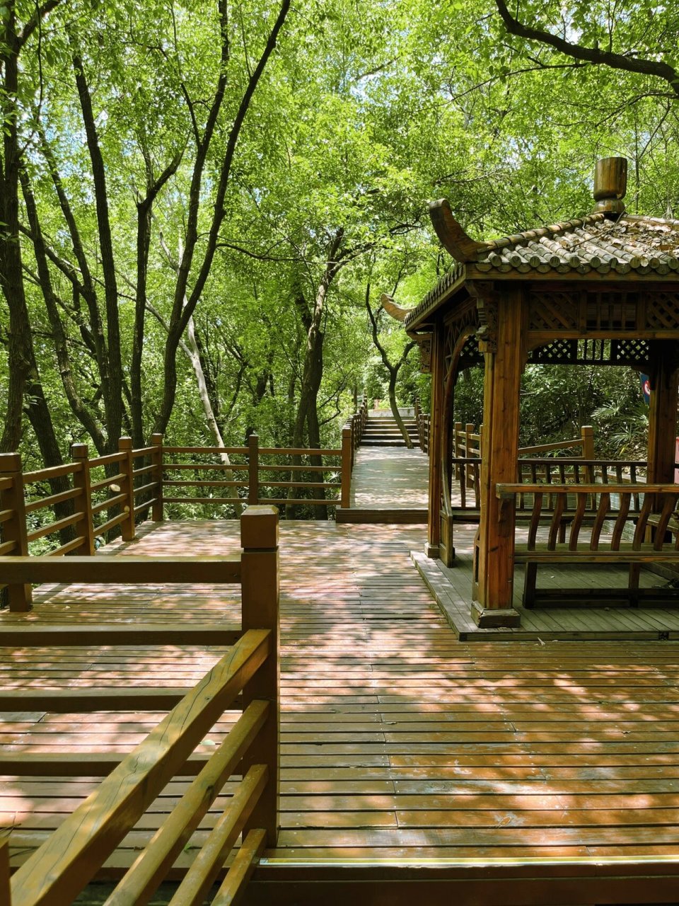 南京江宁|免费中式公园 东山公园占地面积7.