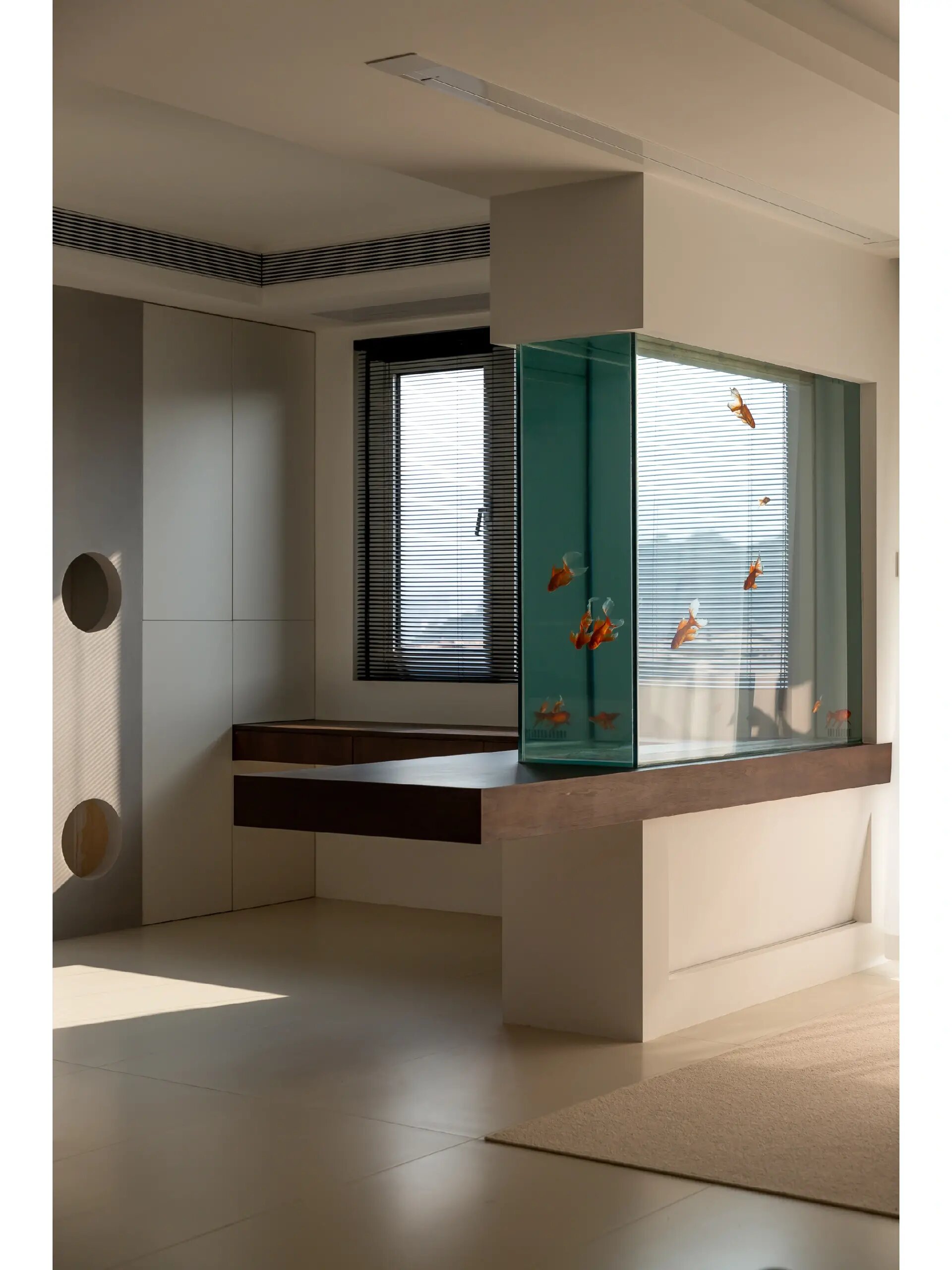 鱼缸隔断太美了吧.99