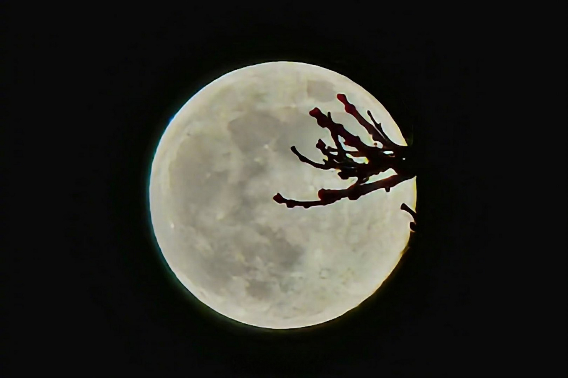 【#十五的月亮有多美#】11月27日,恰逢农历十五,网友纷纷拍下月亮照片