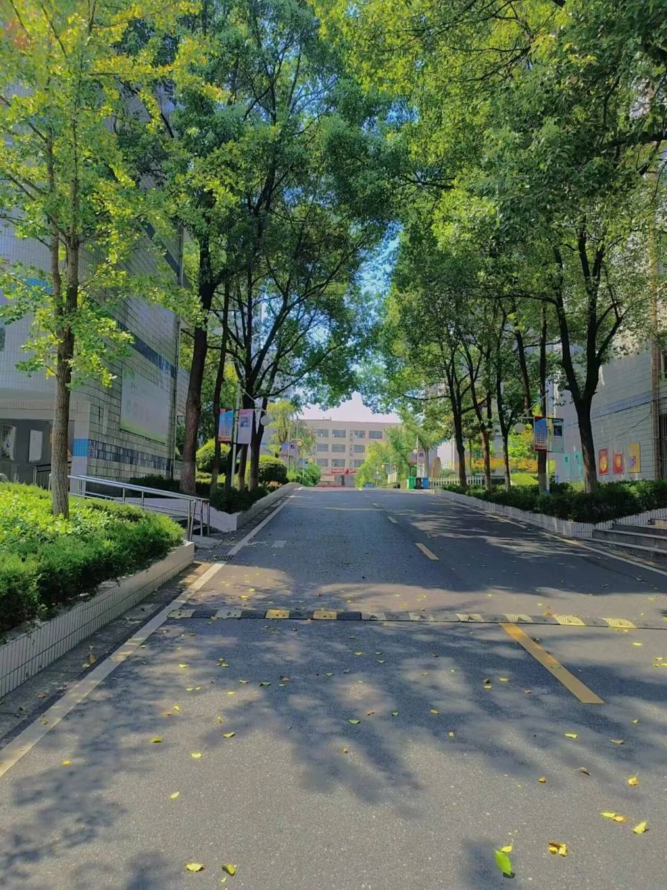 好怀恋宣城二中的时光啊 无时不伤心,遥夜思故人