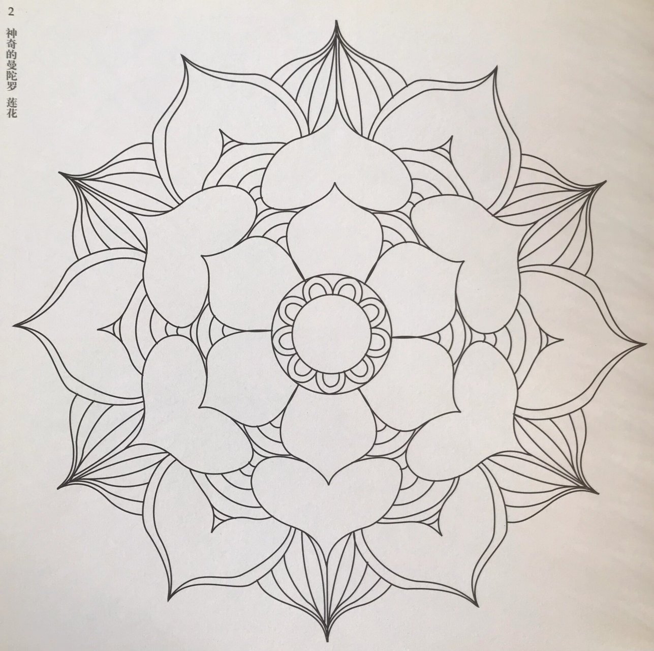 曼陀罗花绘画线稿设计笔控180款1-5 180款曼陀罗绘画持续更新1-5款 仅
