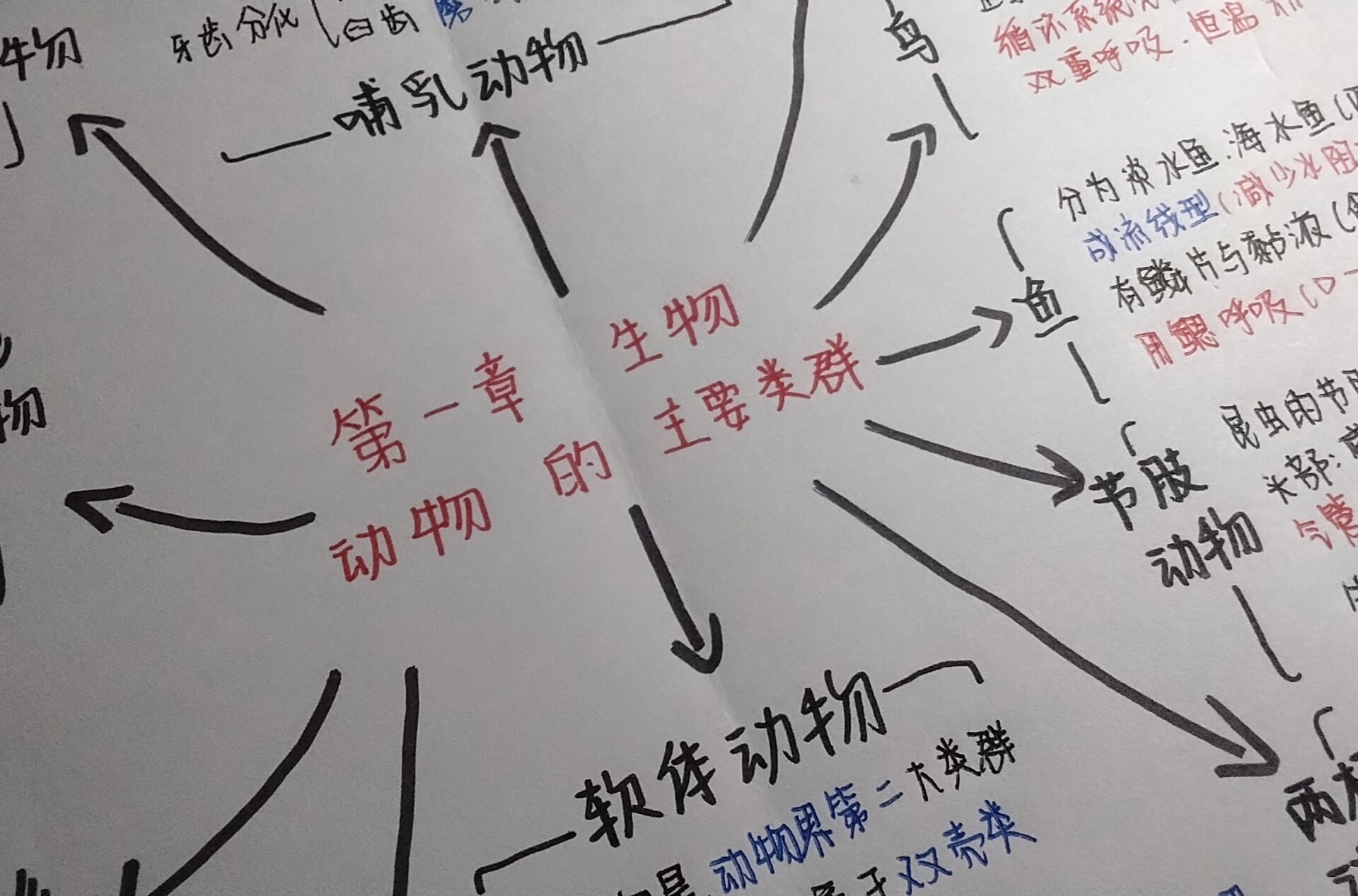 八上生物第一章思维导图