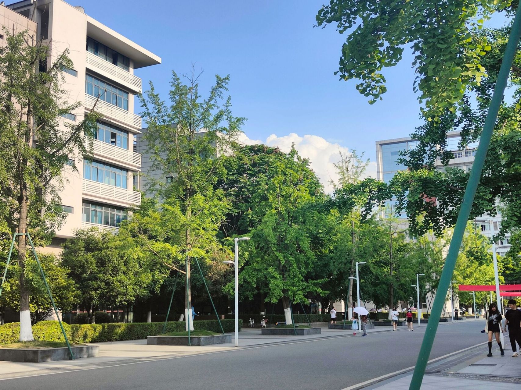 四川农业大学成都校区生活解答 本人川农马上大五在读,欢迎各位家人们