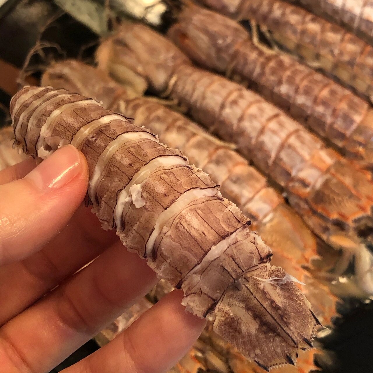 跟大家分享一个如何无痛剥虾爬子的小窍门