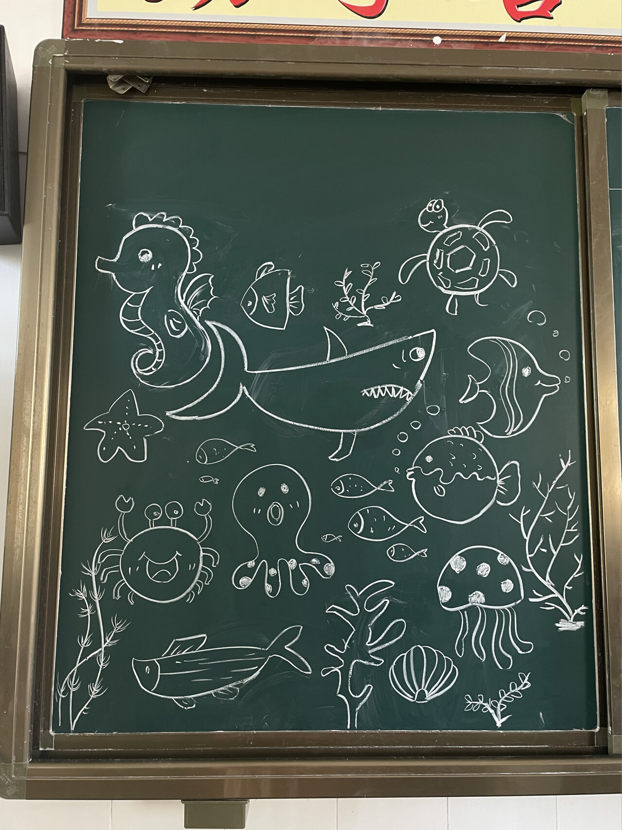 黑板粉笔画海底小动物们