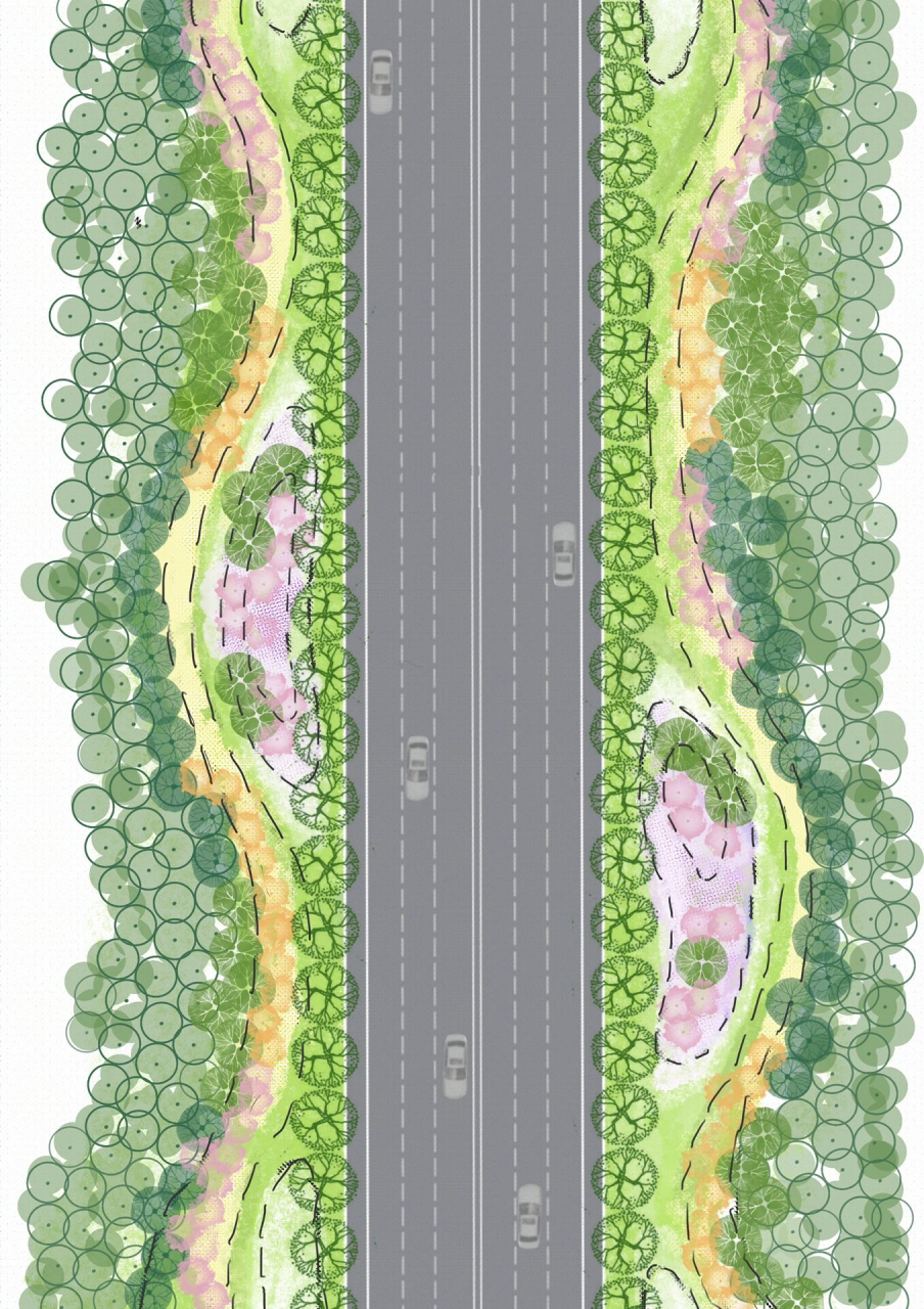 道路绿化景观设计手绘图片