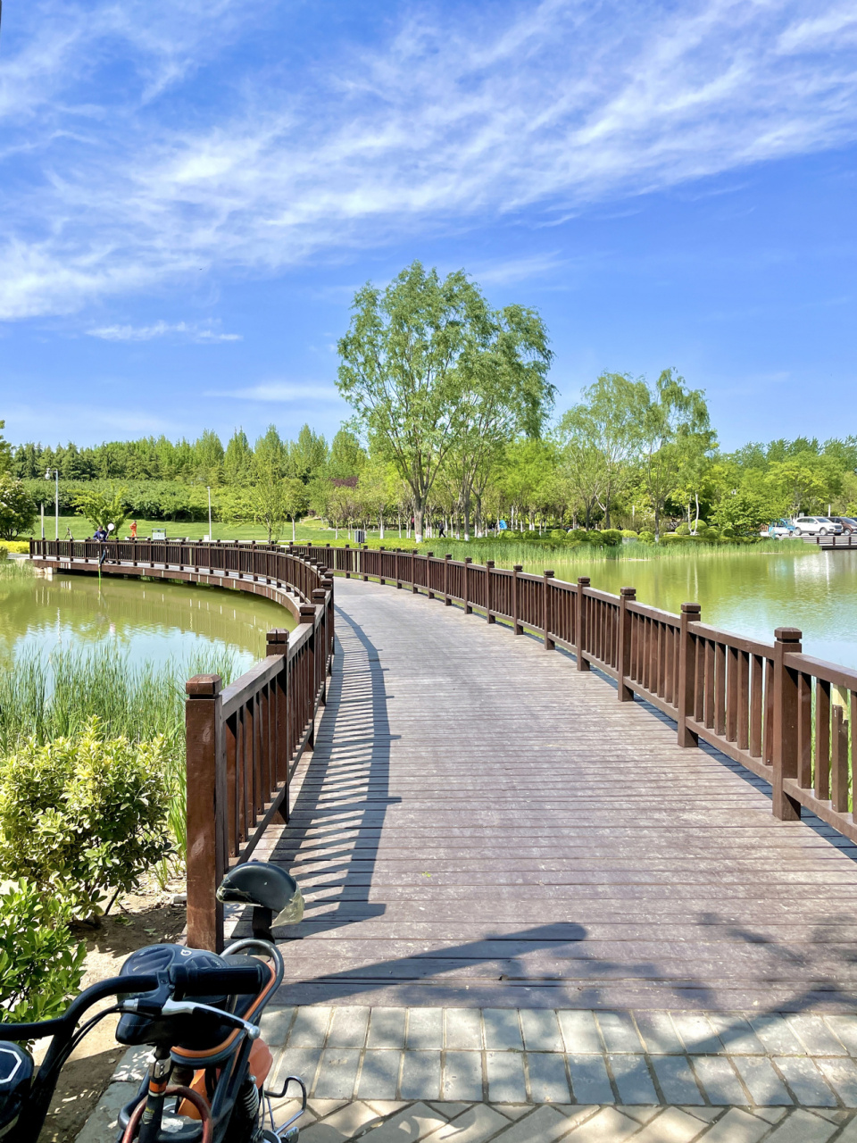 隐藏在高速旁的多彩公园:高新区锦和公园 郑州高新区 锦和公园 公园