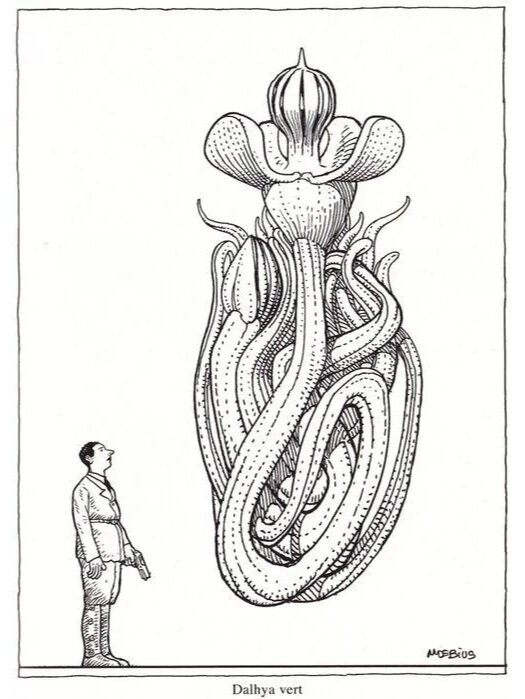 莫比斯黑白线描