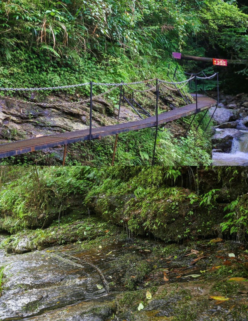 长沙周边溯溪【平江】纯溪小镇 长沙周边|1h车程,天然氧吧 玩水圣地