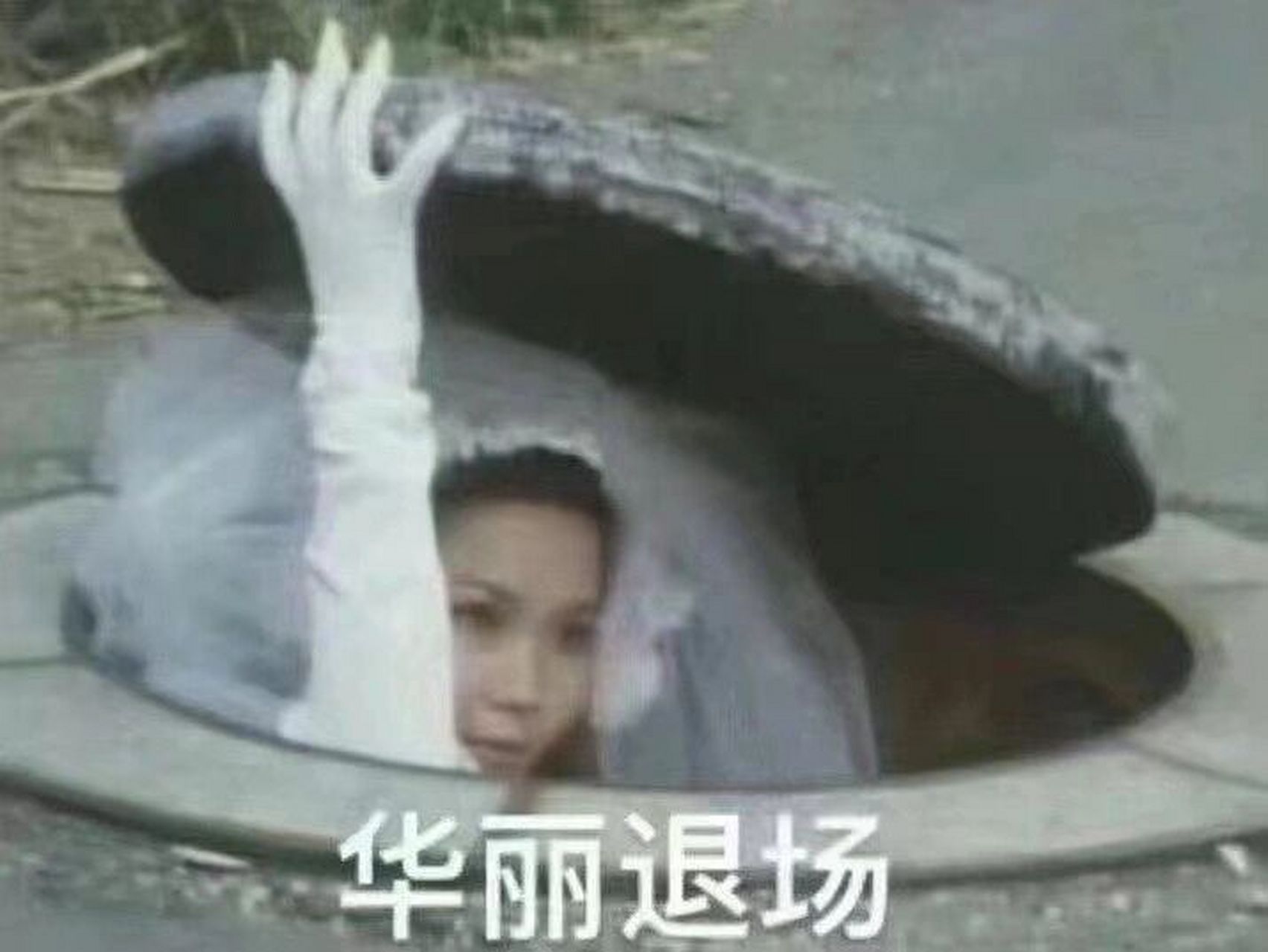 不纠结了定好了7099杭州维多利亚幼儿园 没有一个是完美的 但总有