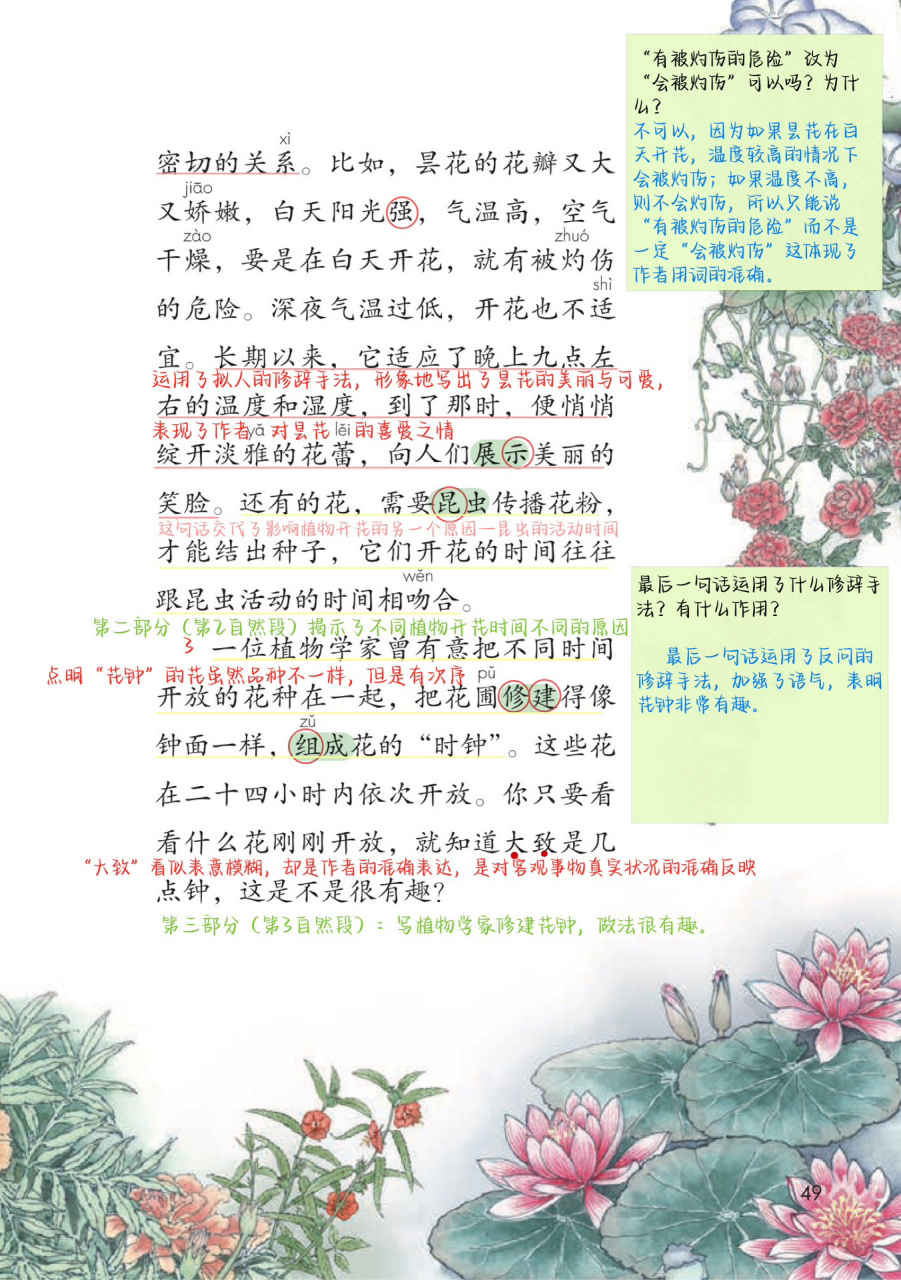 三下第13课《花钟》备课笔记