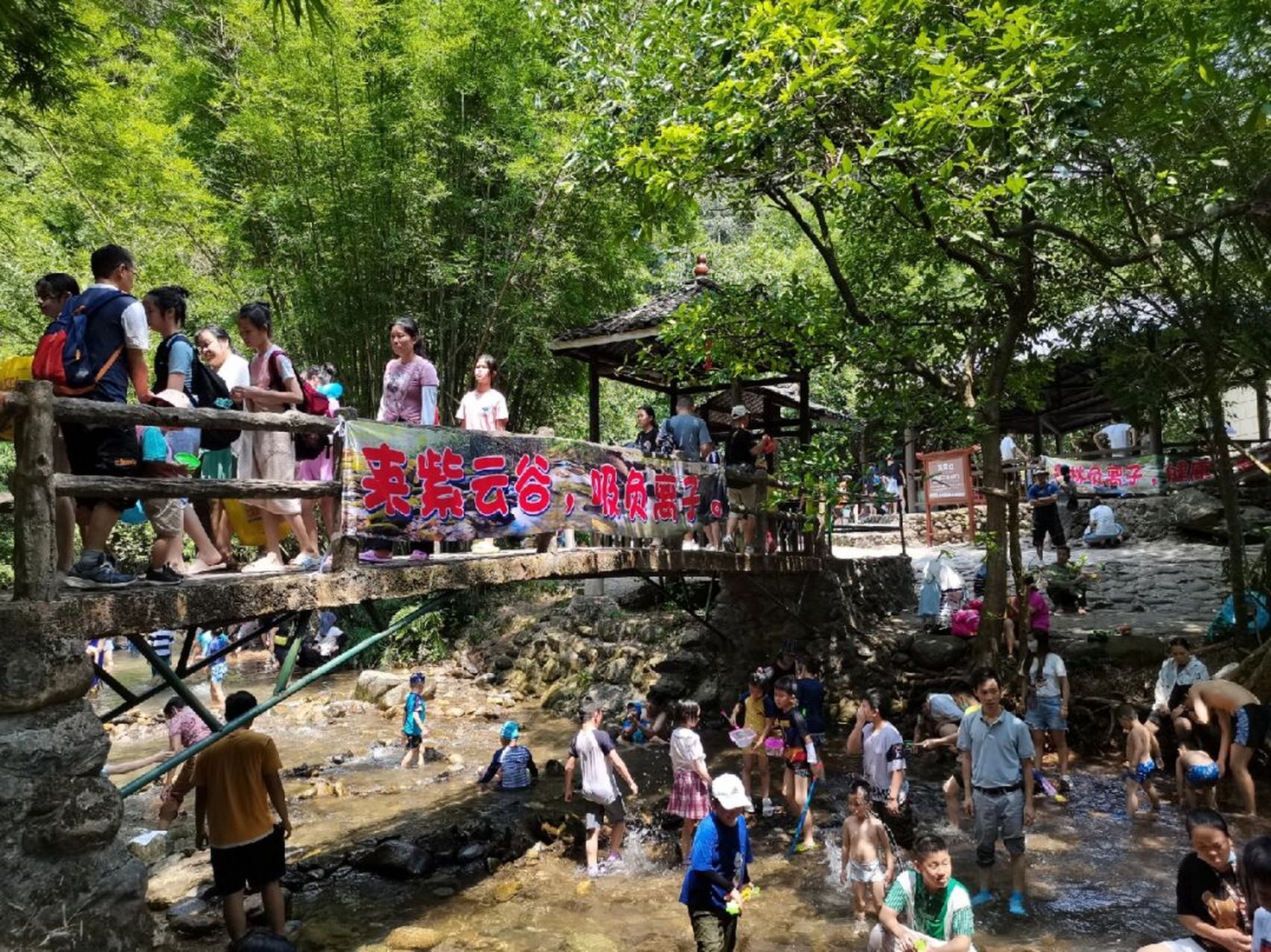 肇庆紫云谷 一日游避暑好玩处,要坐船,入谷门票60/人(包含船票),很