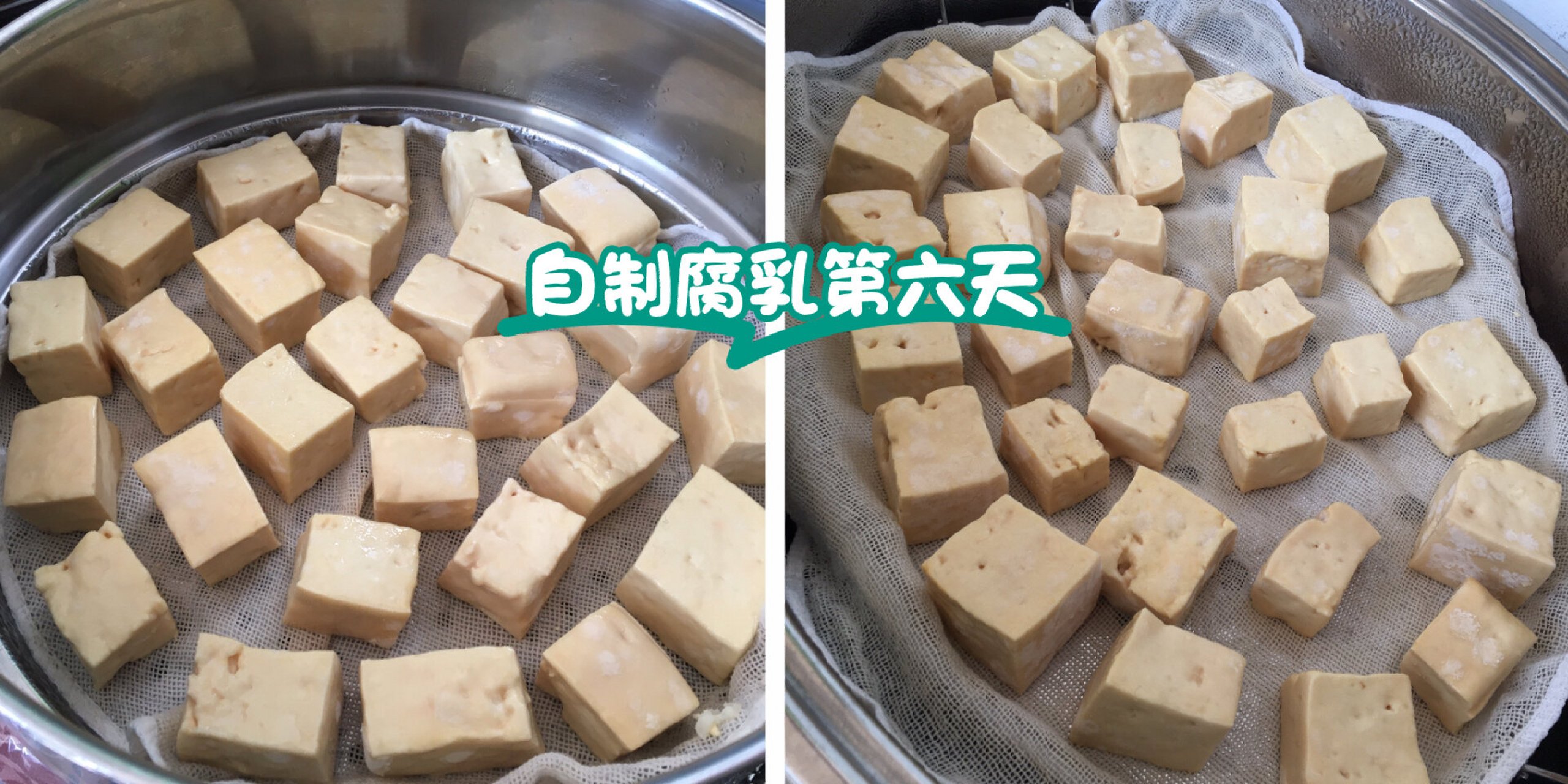 霉豆腐发黄有粘液图片图片