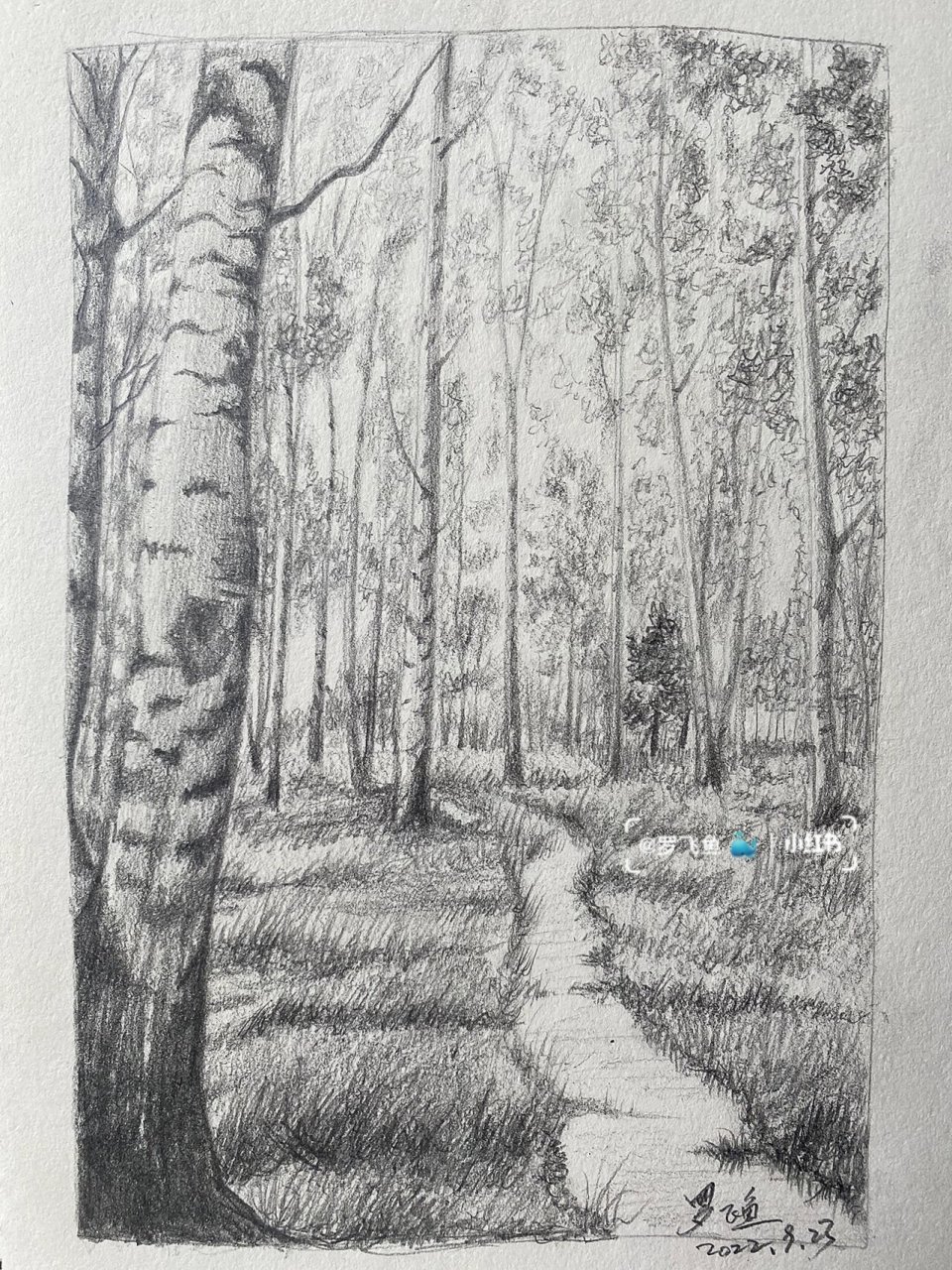秋分溪边白桦林小景速写 去不了森林,就自己创造置身