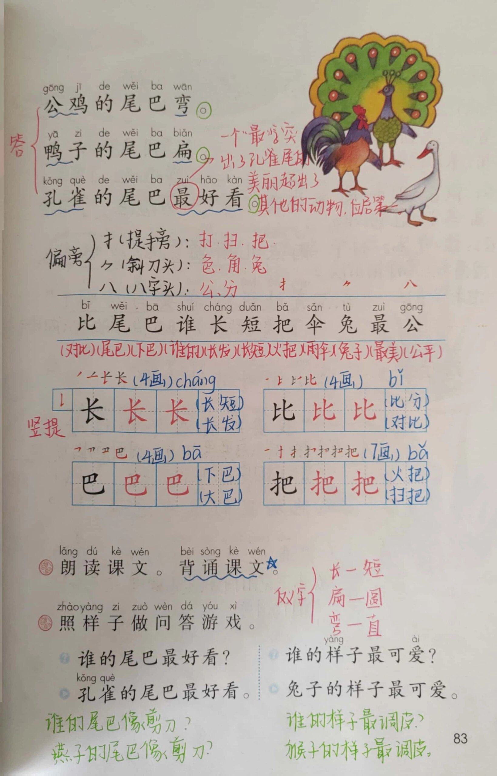 一上语文《比尾巴》备课笔记 一年级语文上册比尾巴知识点