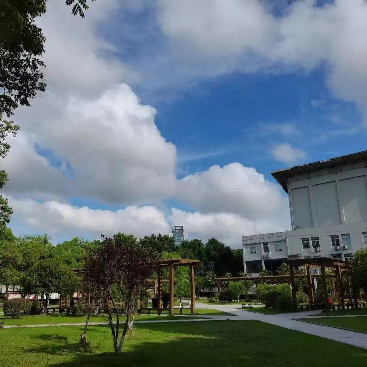 武汉传媒学院# #武传一角# 雨后放晴的天空蔚蓝如海,阳光不晃眼.